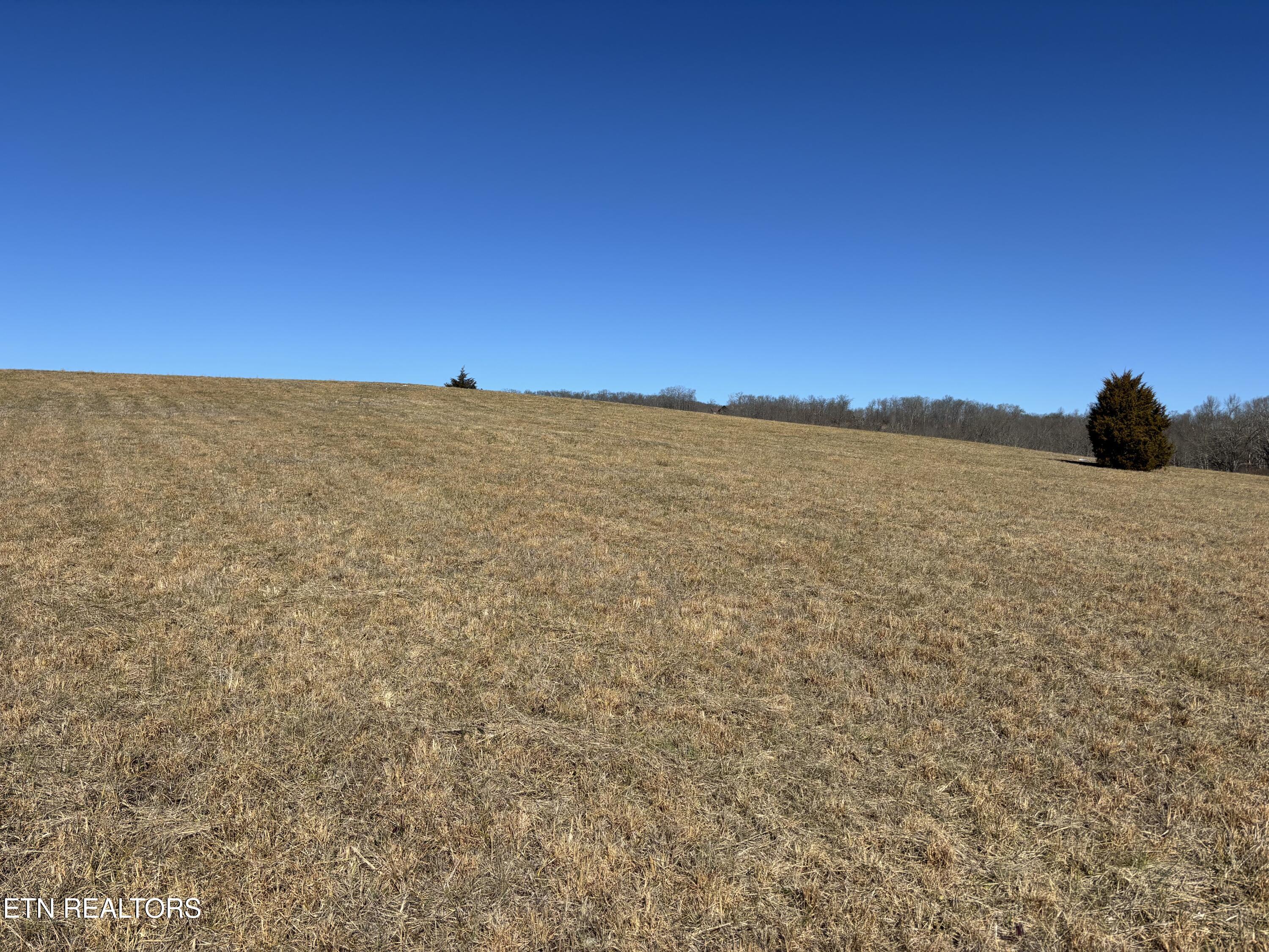 Pointe Vista Drive Rockwood TN 37854