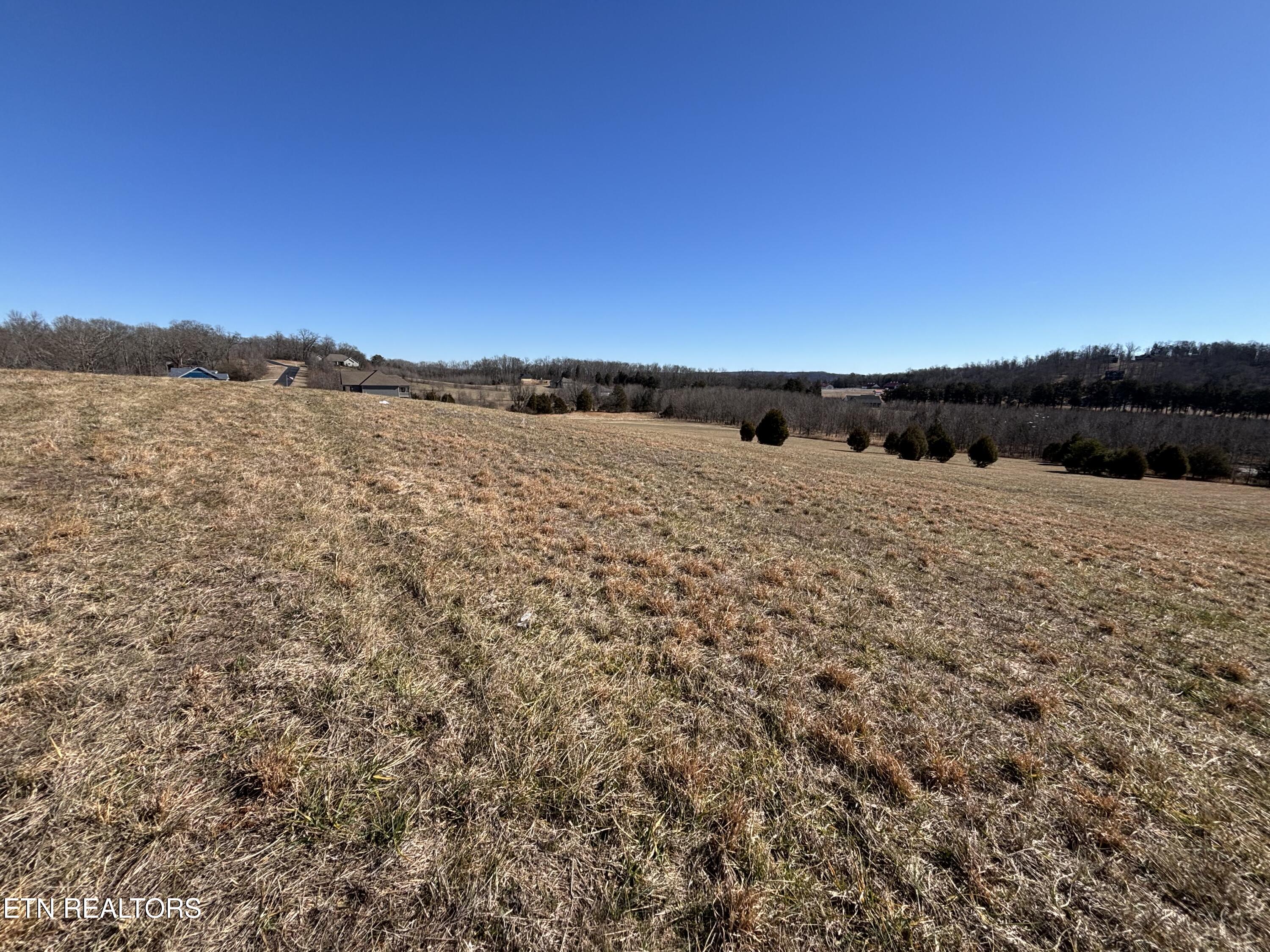 Pointe Vista Drive Rockwood TN 37854
