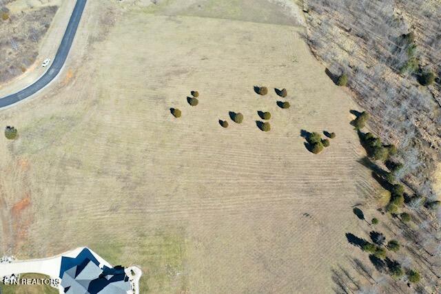 Pointe Vista Drive Rockwood TN 37854