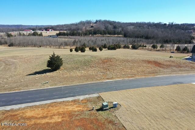 Pointe Vista Drive Rockwood TN 37854