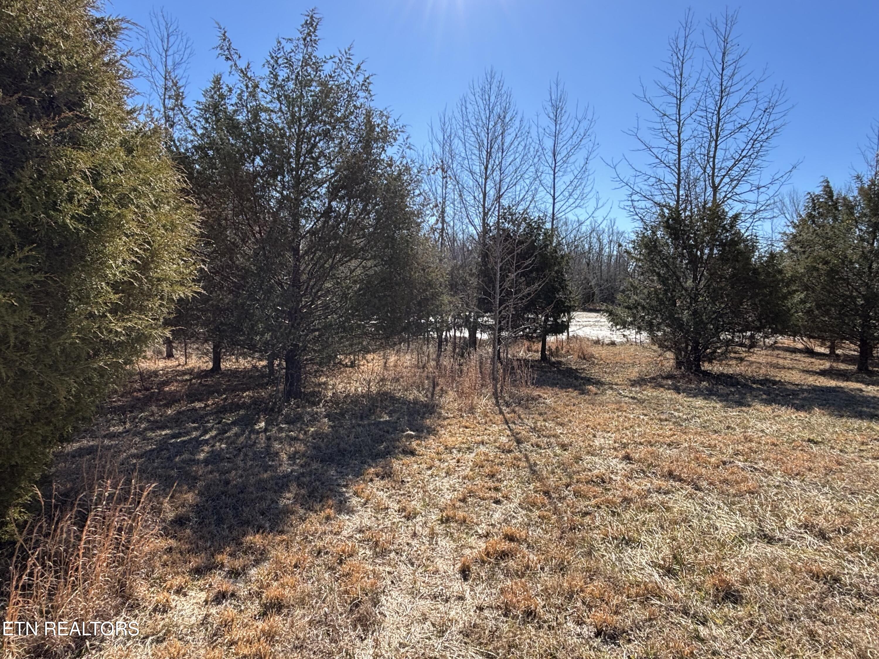 Pointe Vista Drive Rockwood TN 37854