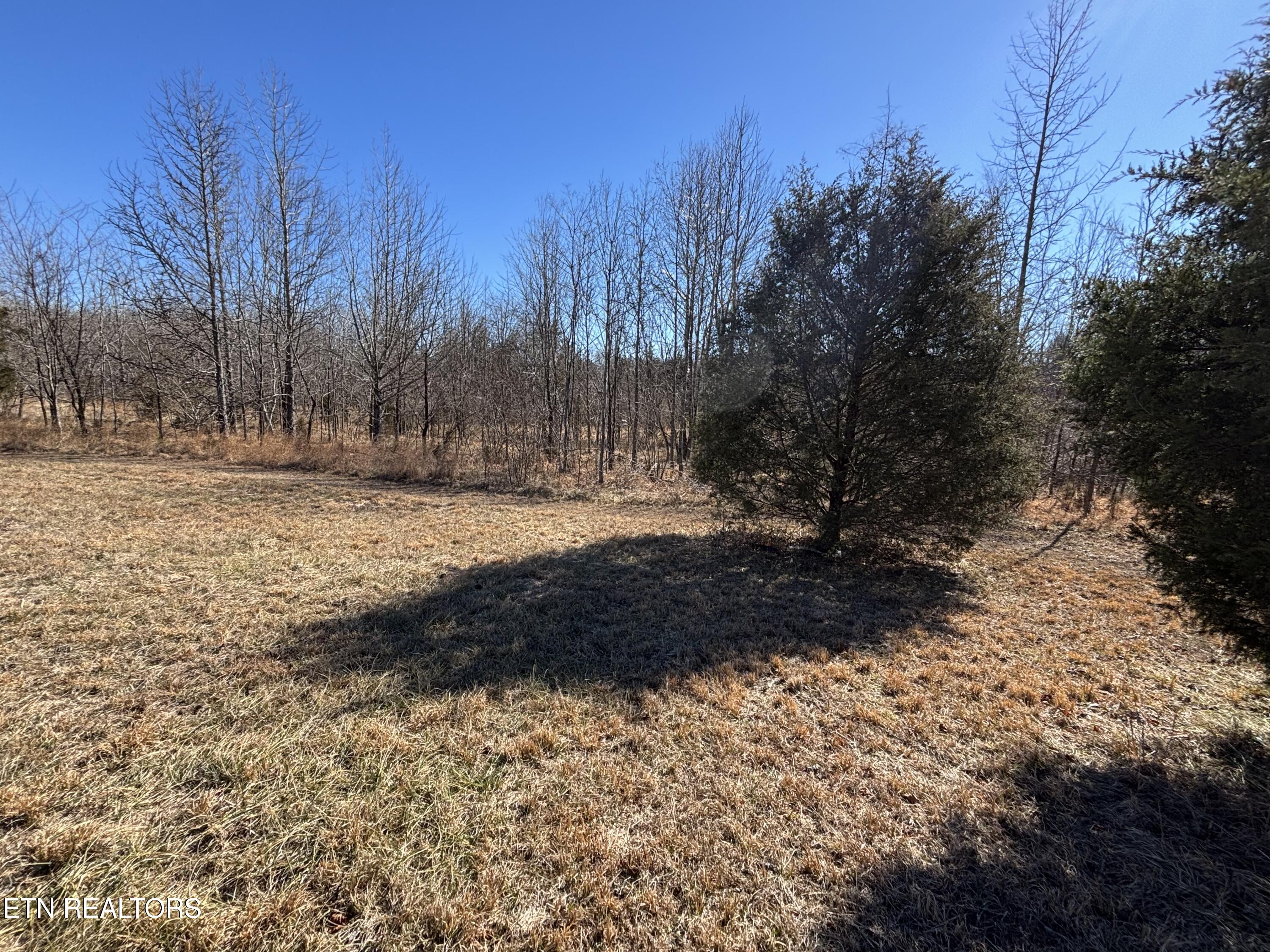 Pointe Vista Drive Rockwood TN 37854