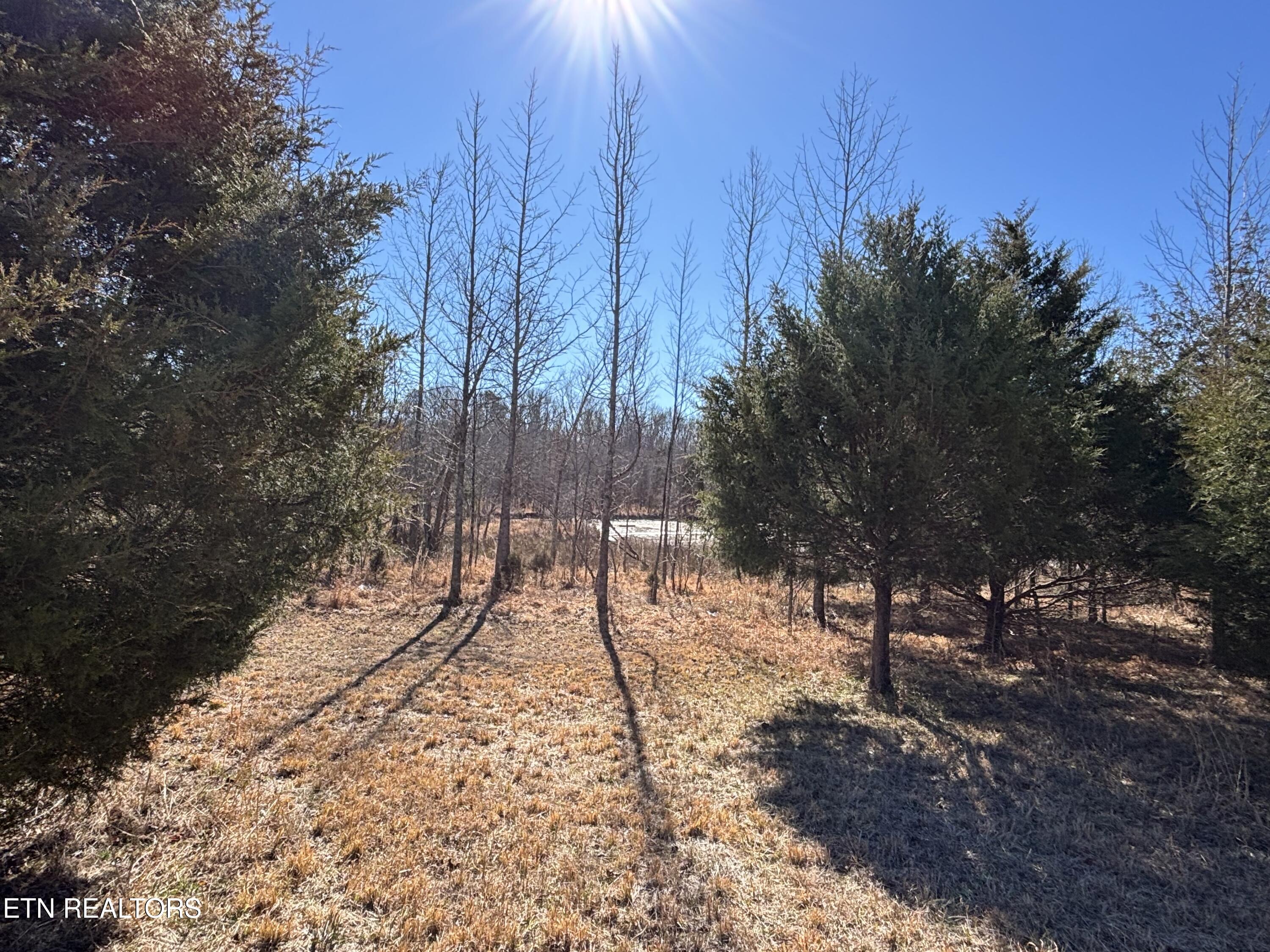 Pointe Vista Drive Rockwood TN 37854