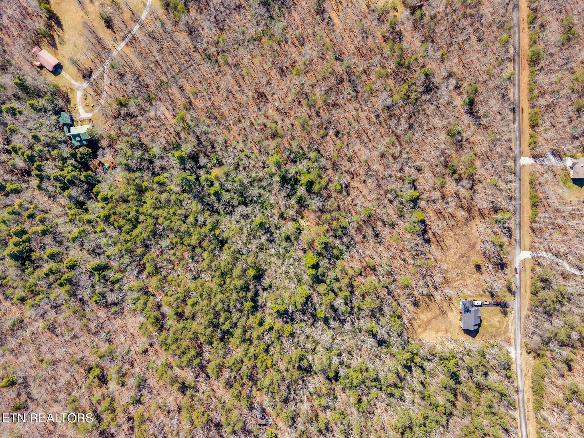 911 Spearhead Circle Clarkrange TN 38553