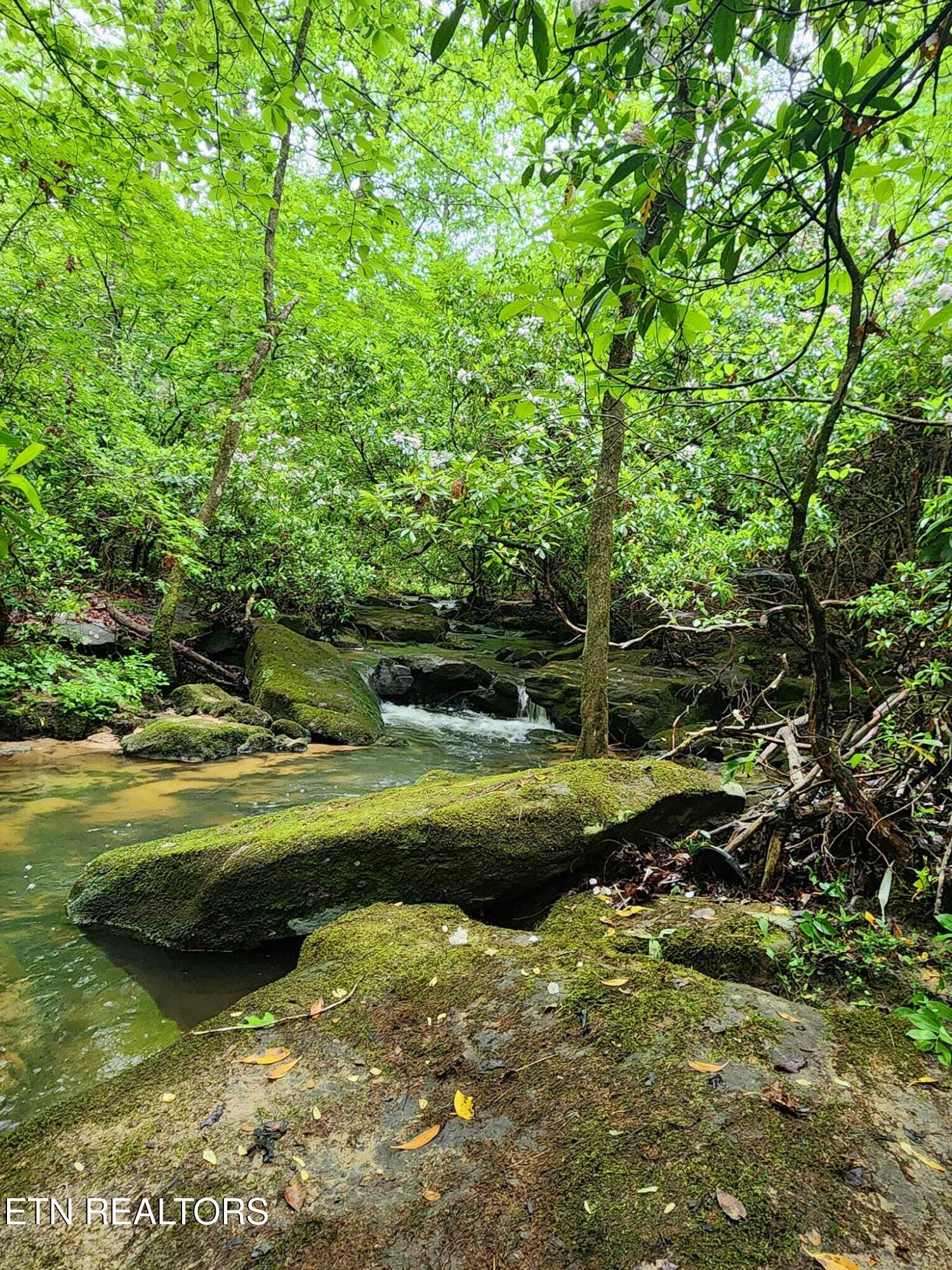 911 Spearhead Circle Clarkrange TN 38553