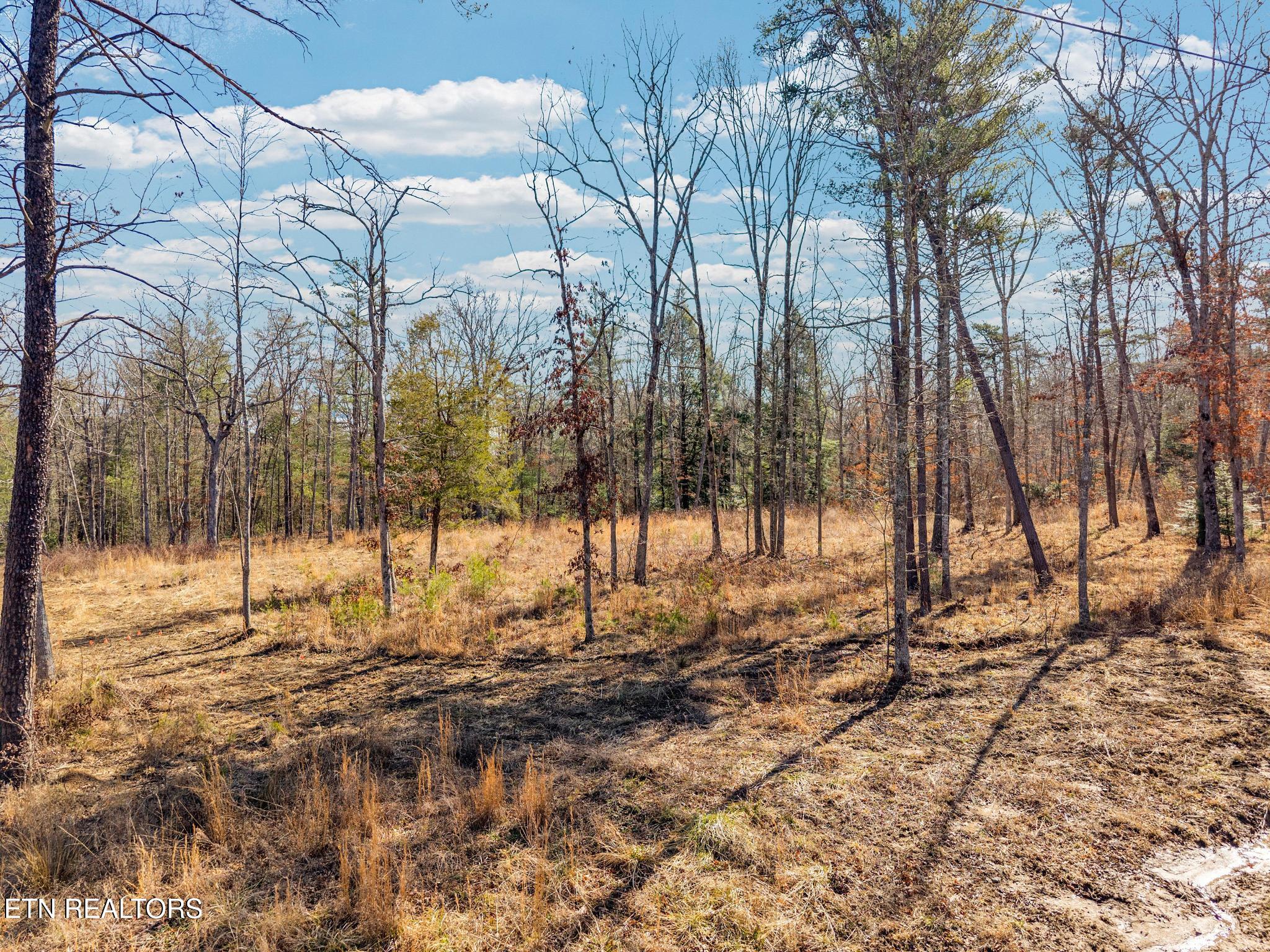 911 Spearhead Circle Clarkrange TN 38553