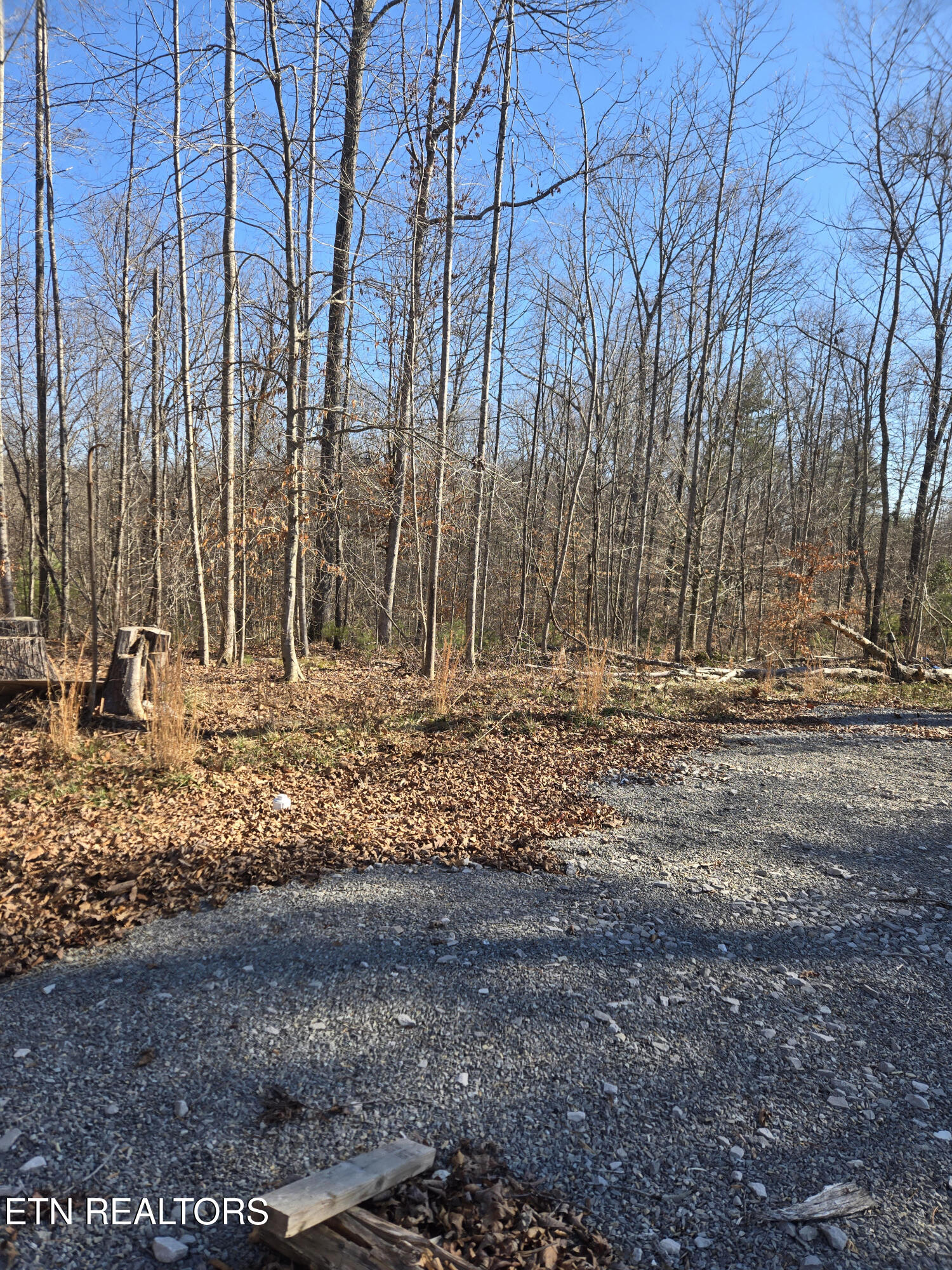 1434 Catoosa Road Wartburg TN 37887