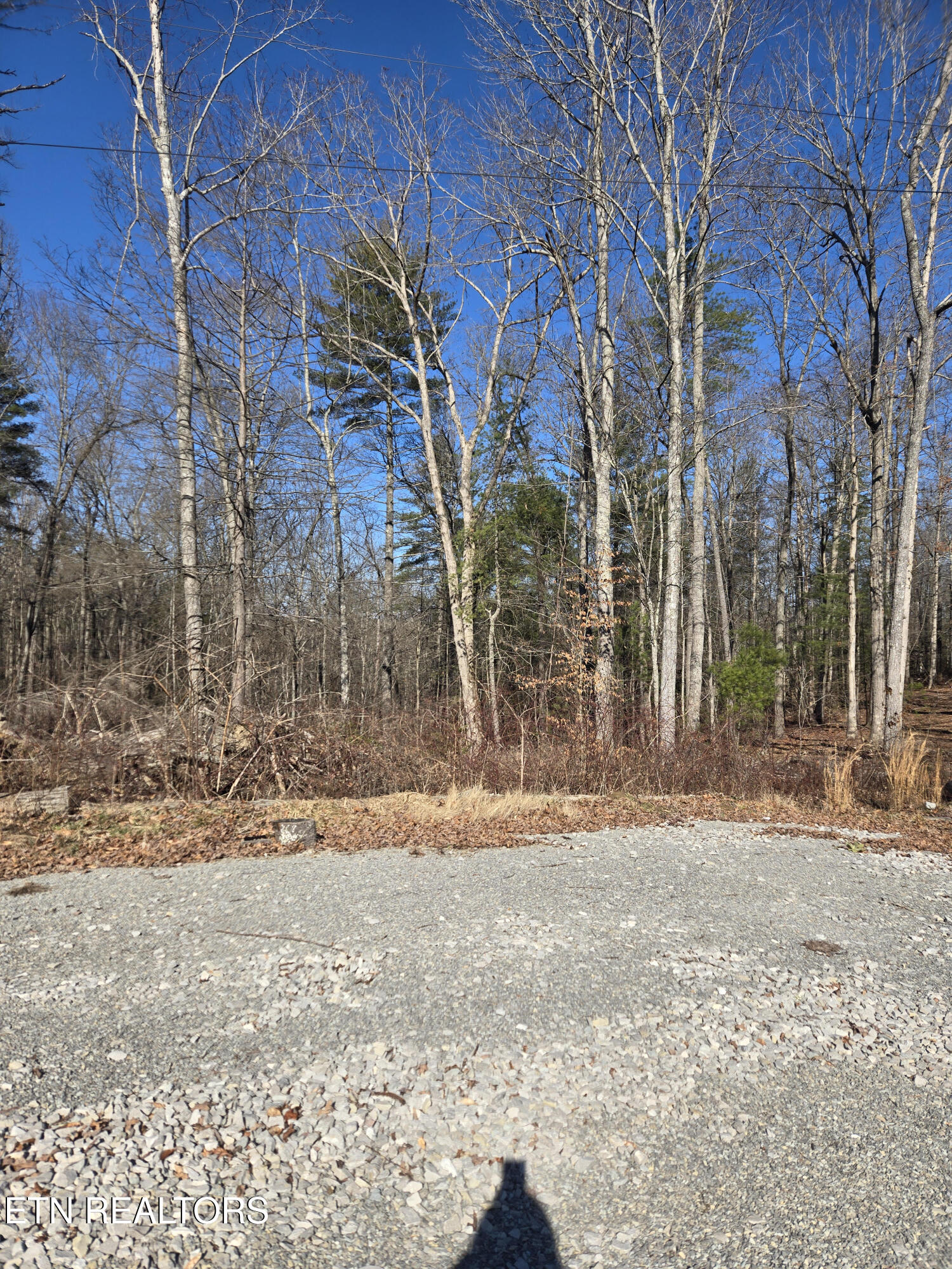 1434 Catoosa Road Wartburg TN 37887