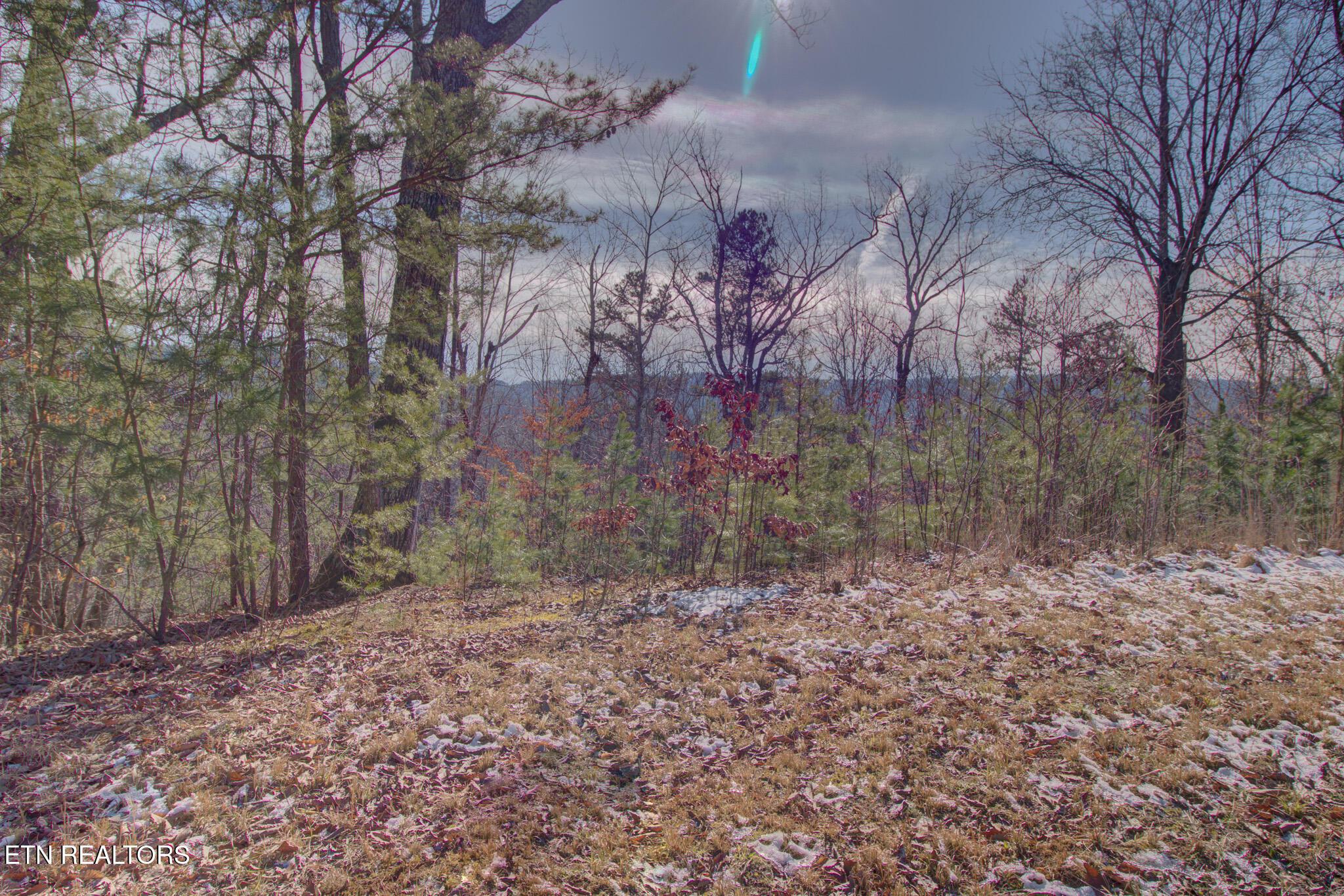 4580 Crooked Creek Way Maryville TN 37803
