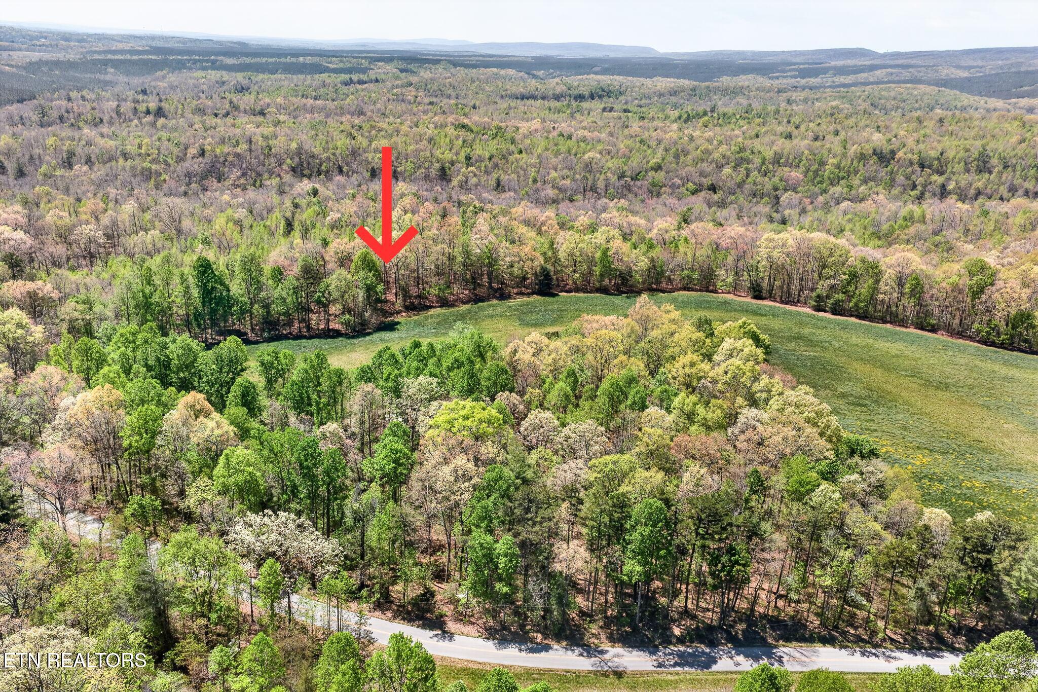 Lot 5 Smith Mountain Road Rockwood TN 37854