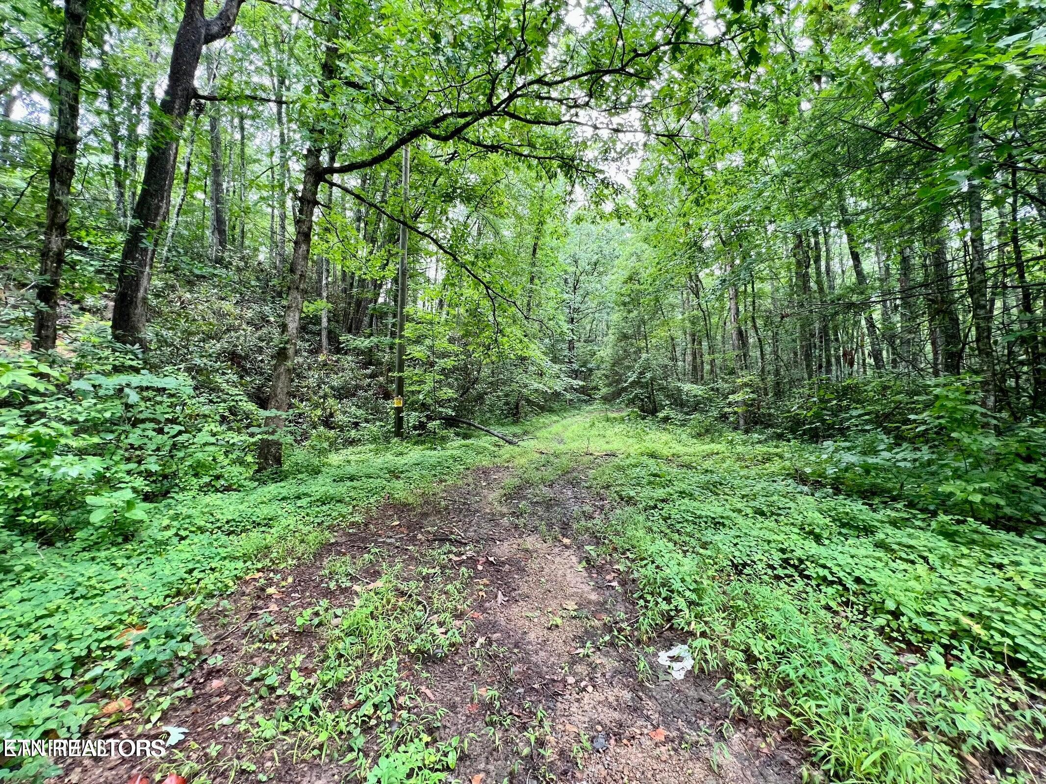Sycamore Street Sevierville TN 37876