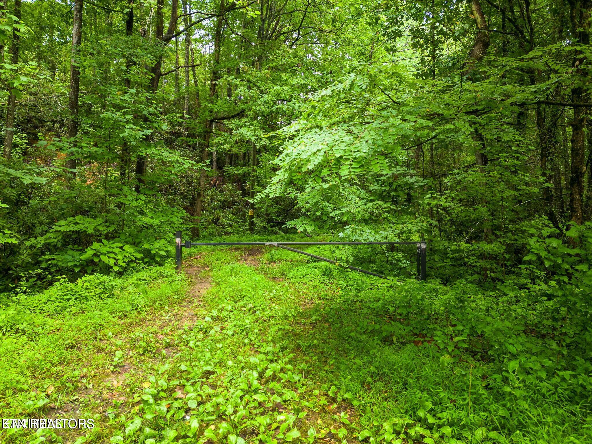 Sycamore Street Sevierville TN 37876