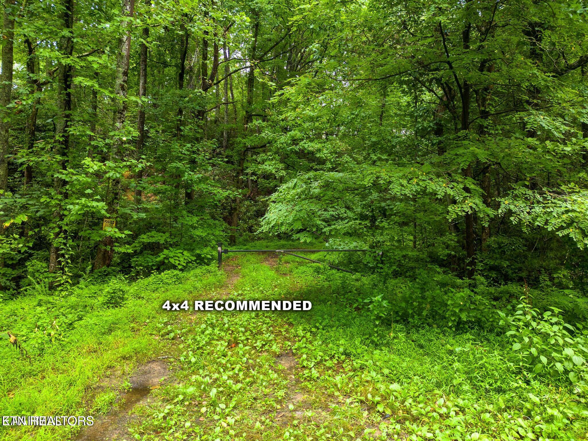 Sycamore Street Sevierville TN 37876