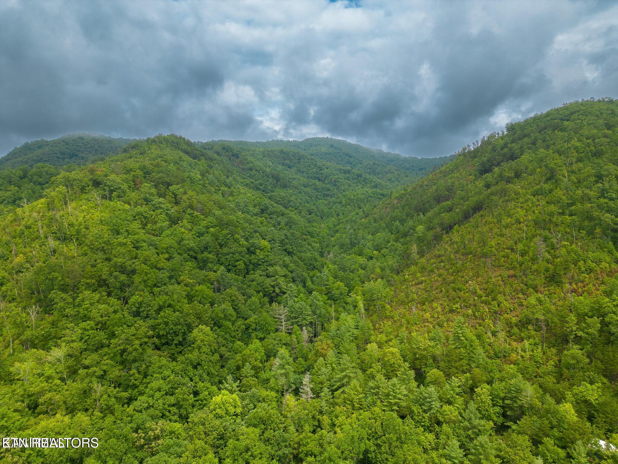 Sycamore Street Sevierville TN 37876