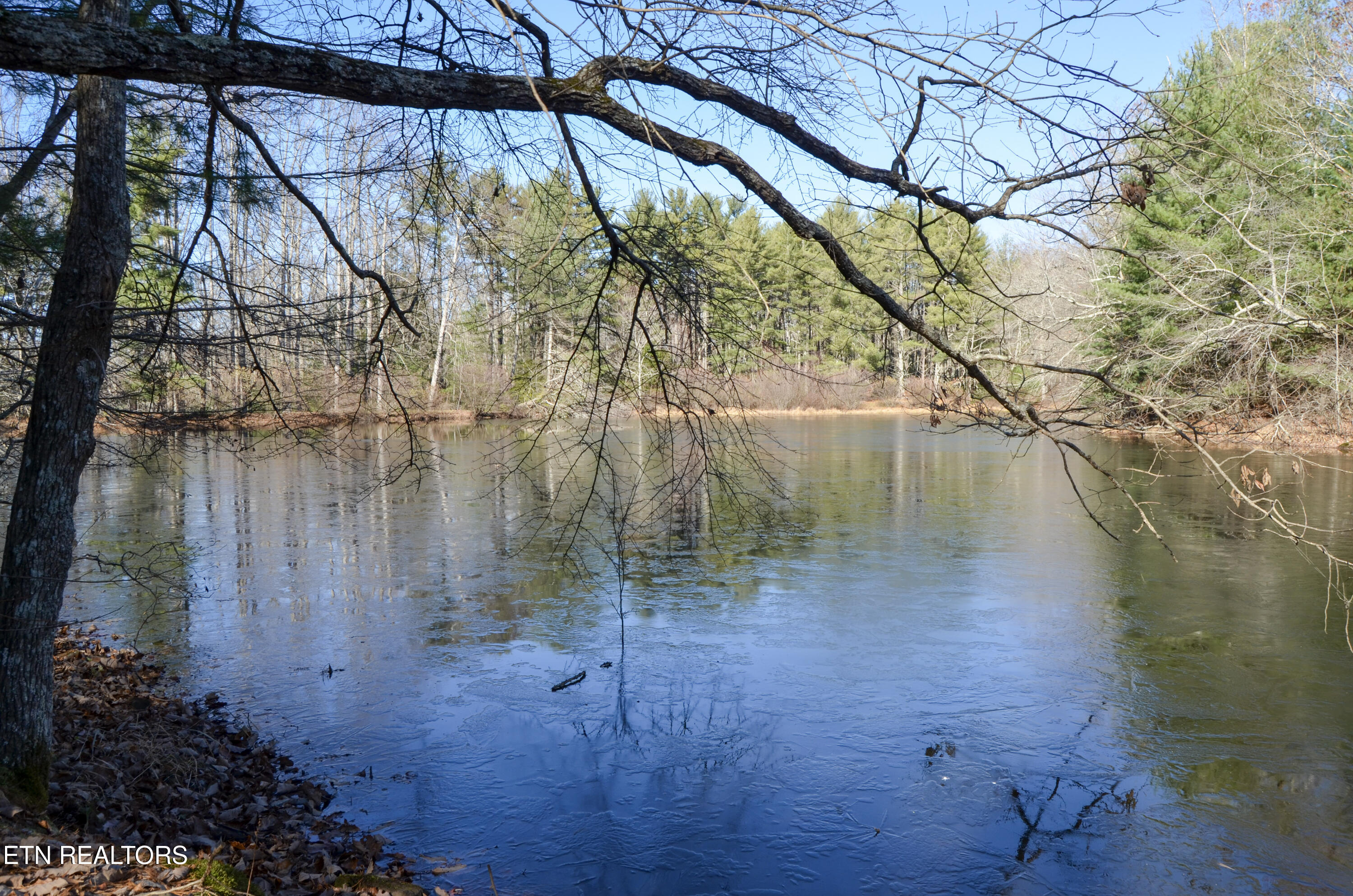 Sparta Highway 31.64 +/- Acres Crossville TN 38555