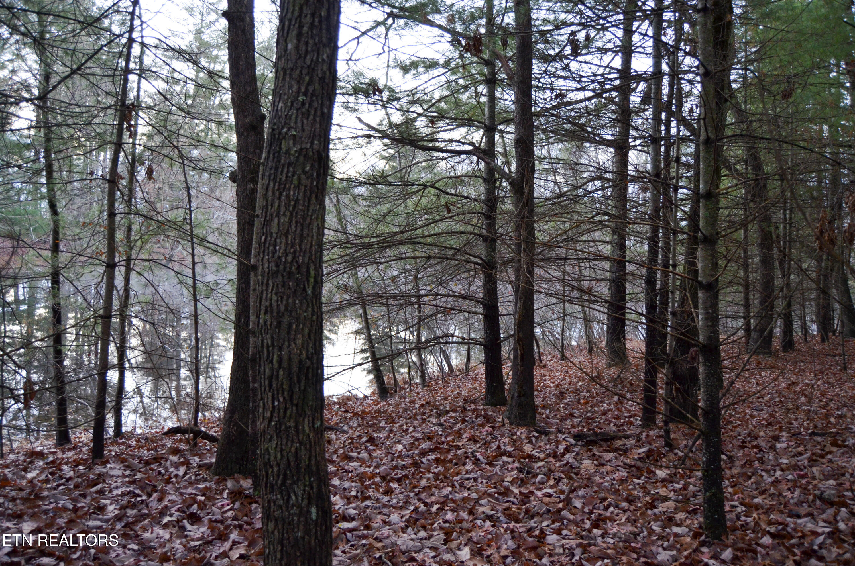 Sparta Highway 31.64 +/- Acres Crossville TN 38555