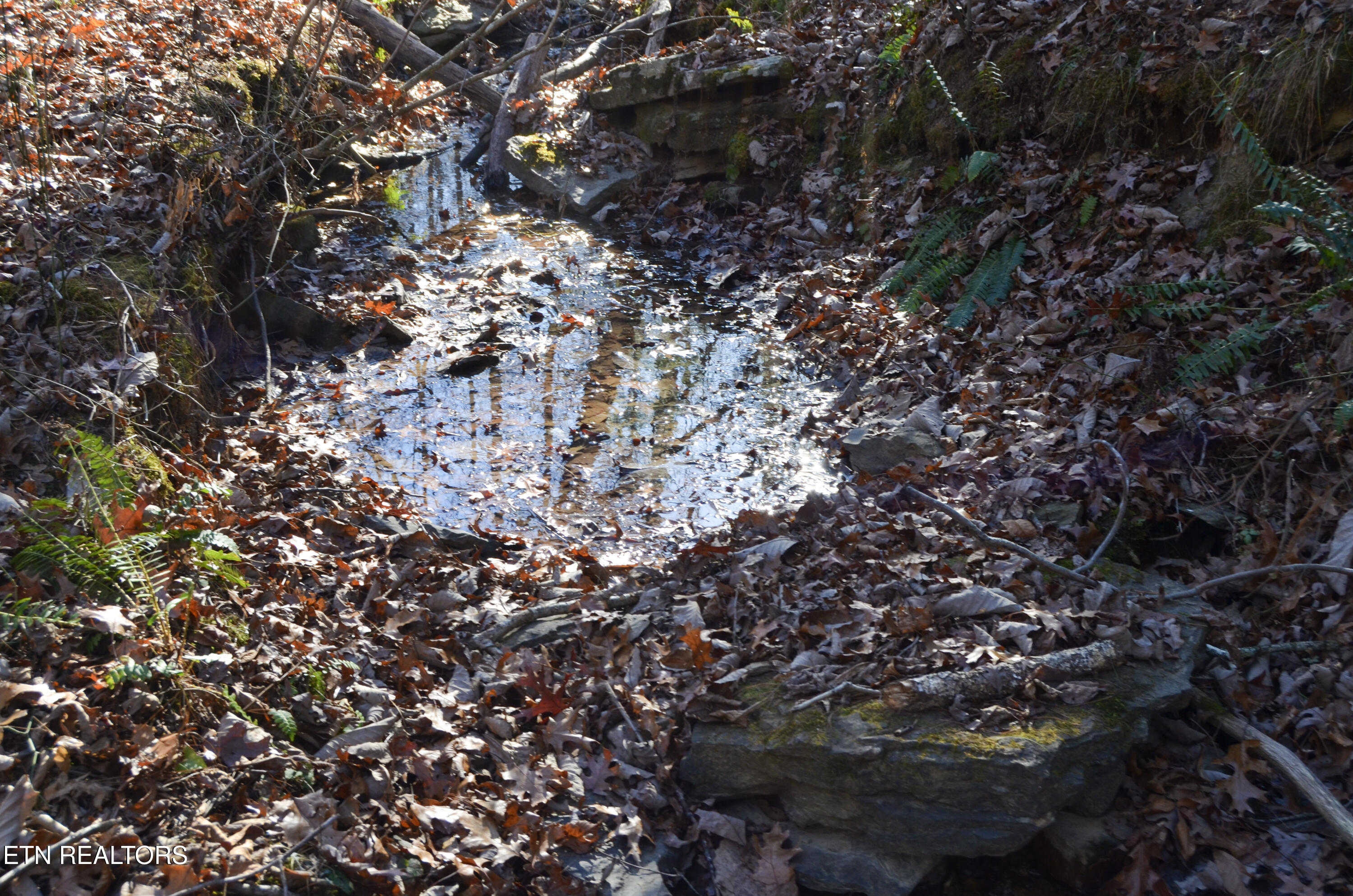 Sparta Highway 31.64 +/- Acres Crossville TN 38555