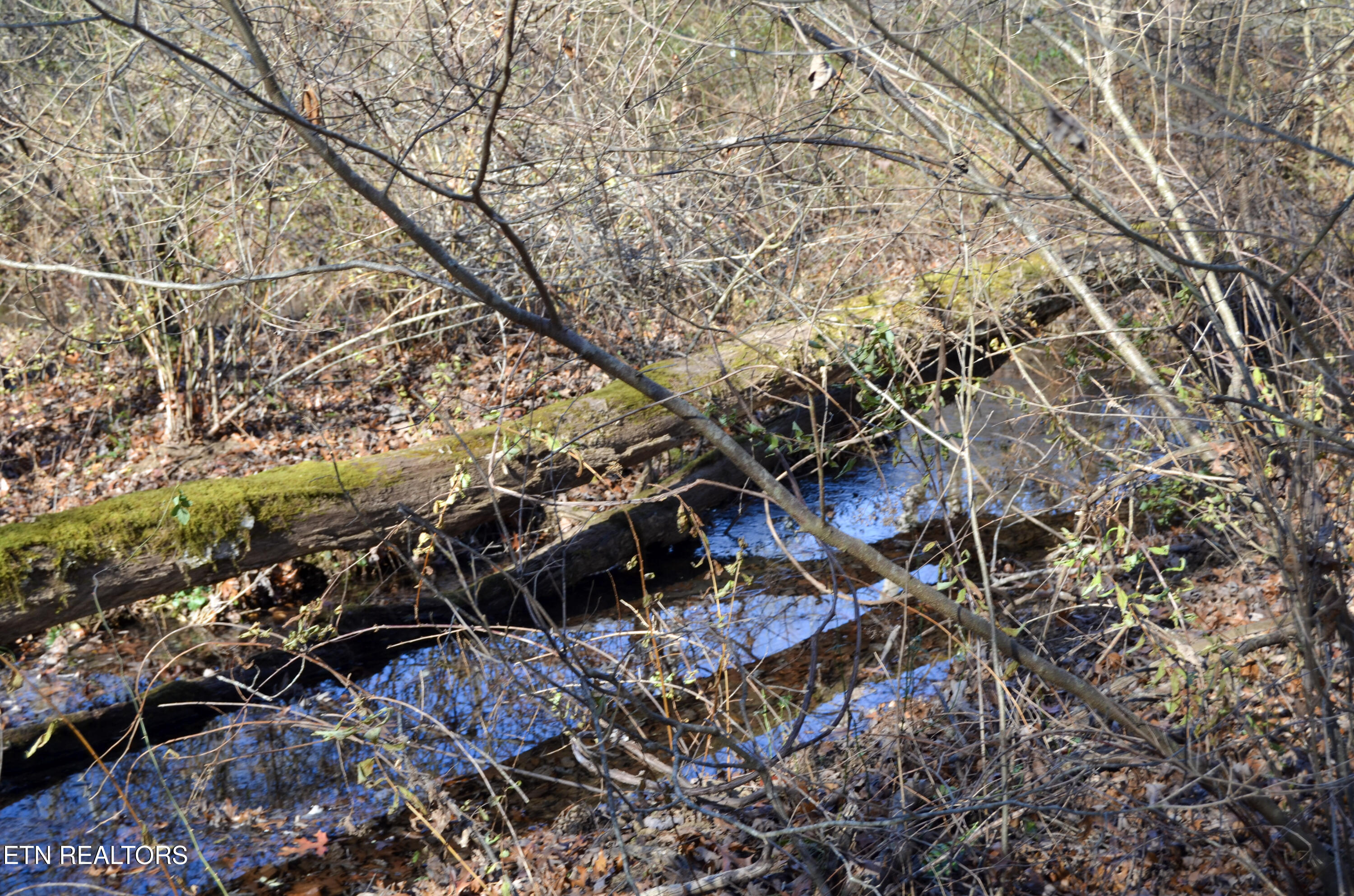 Sparta Highway 31.64 +/- Acres Crossville TN 38555