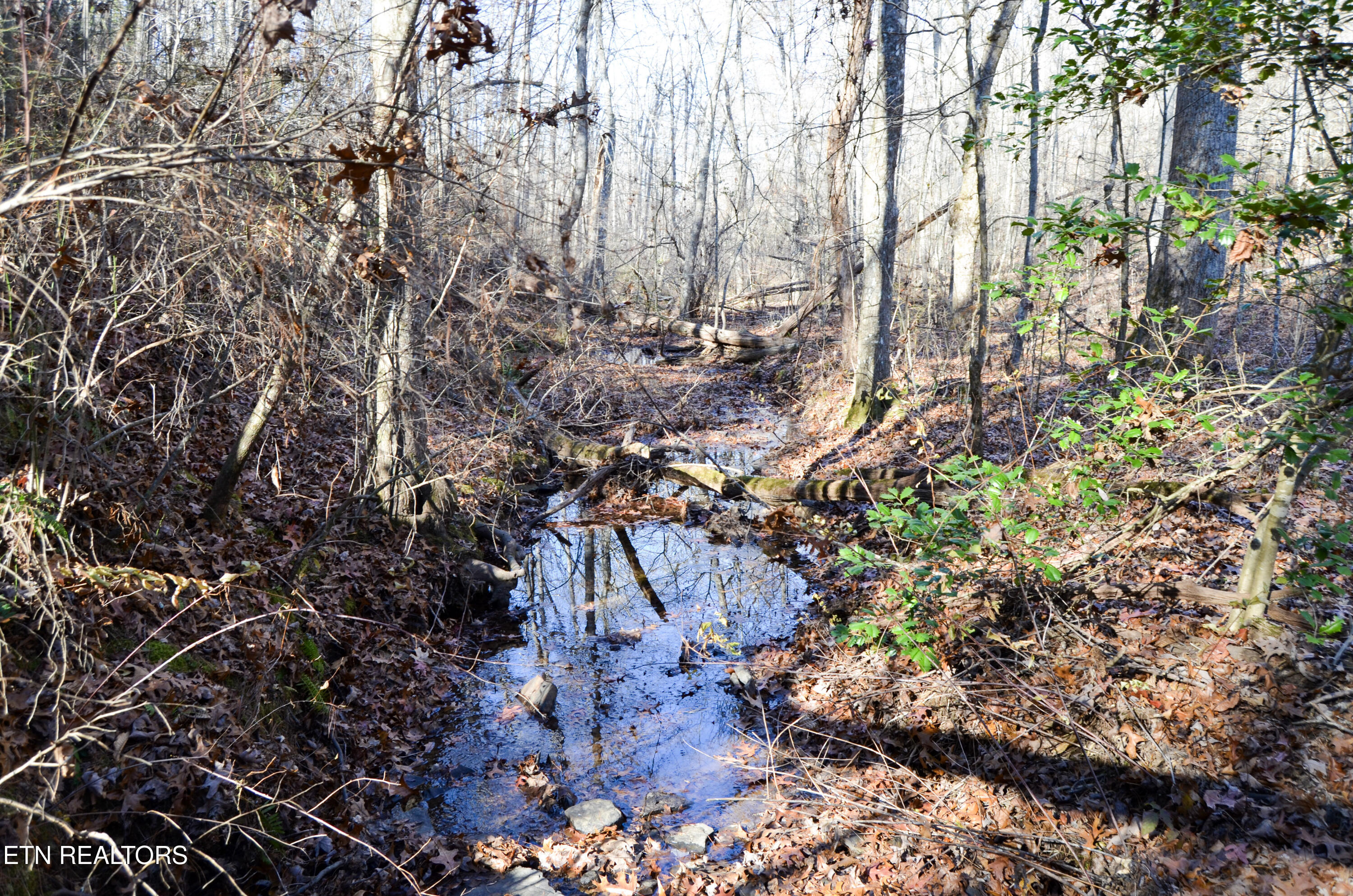 Sparta Highway 31.64 +/- Acres Crossville TN 38555