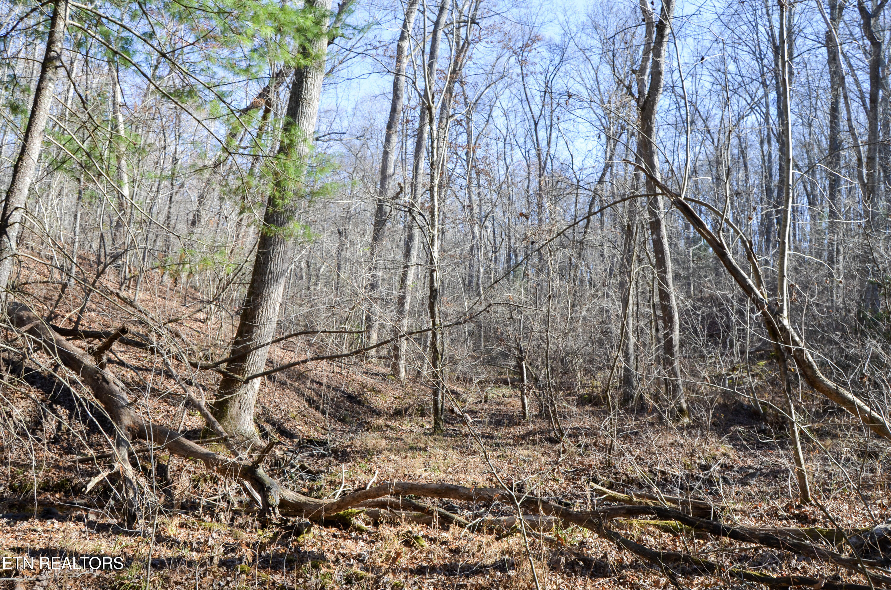 Sparta Highway 31.64 +/- Acres Crossville TN 38555