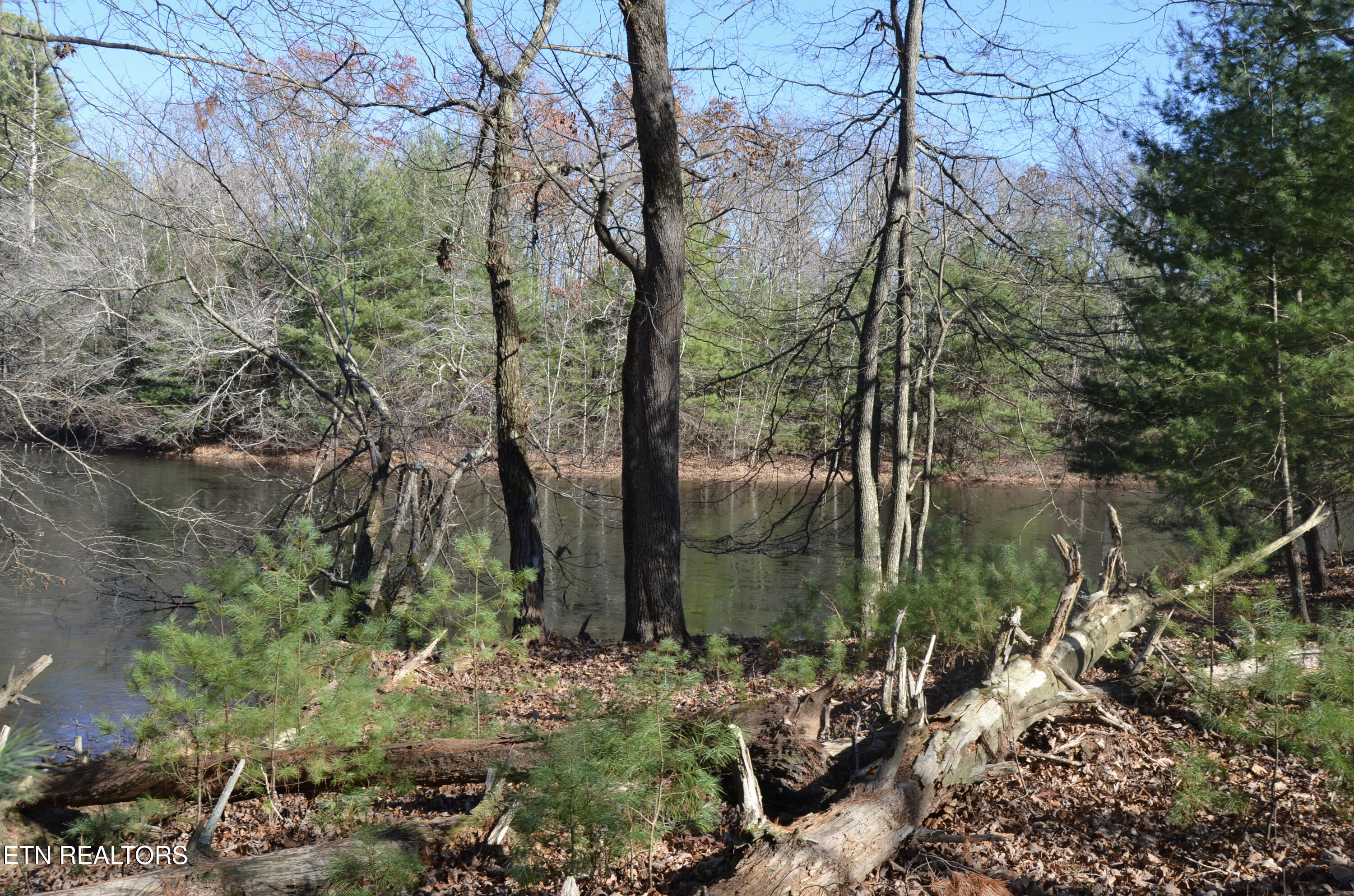 Sparta Highway 31.64 +/- Acres Crossville TN 38555