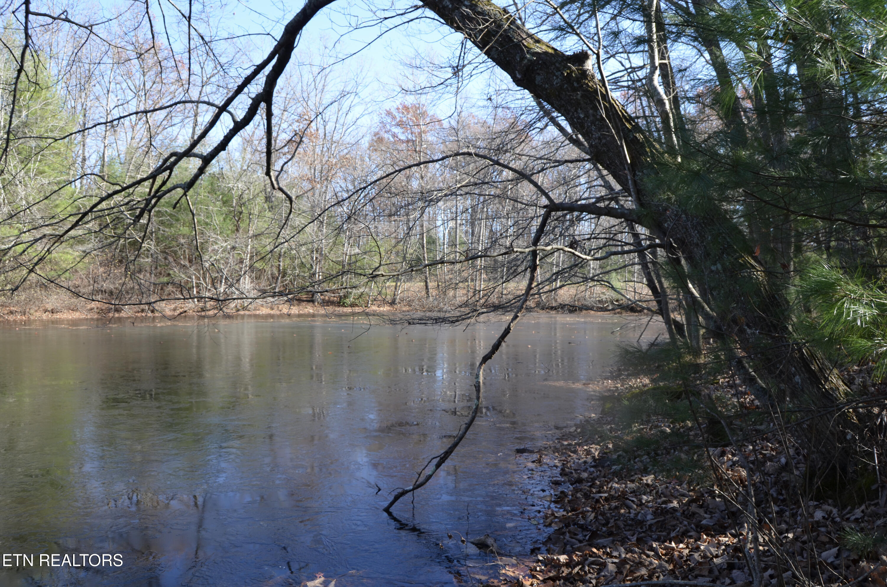 Sparta Highway 31.64 +/- Acres Crossville TN 38555