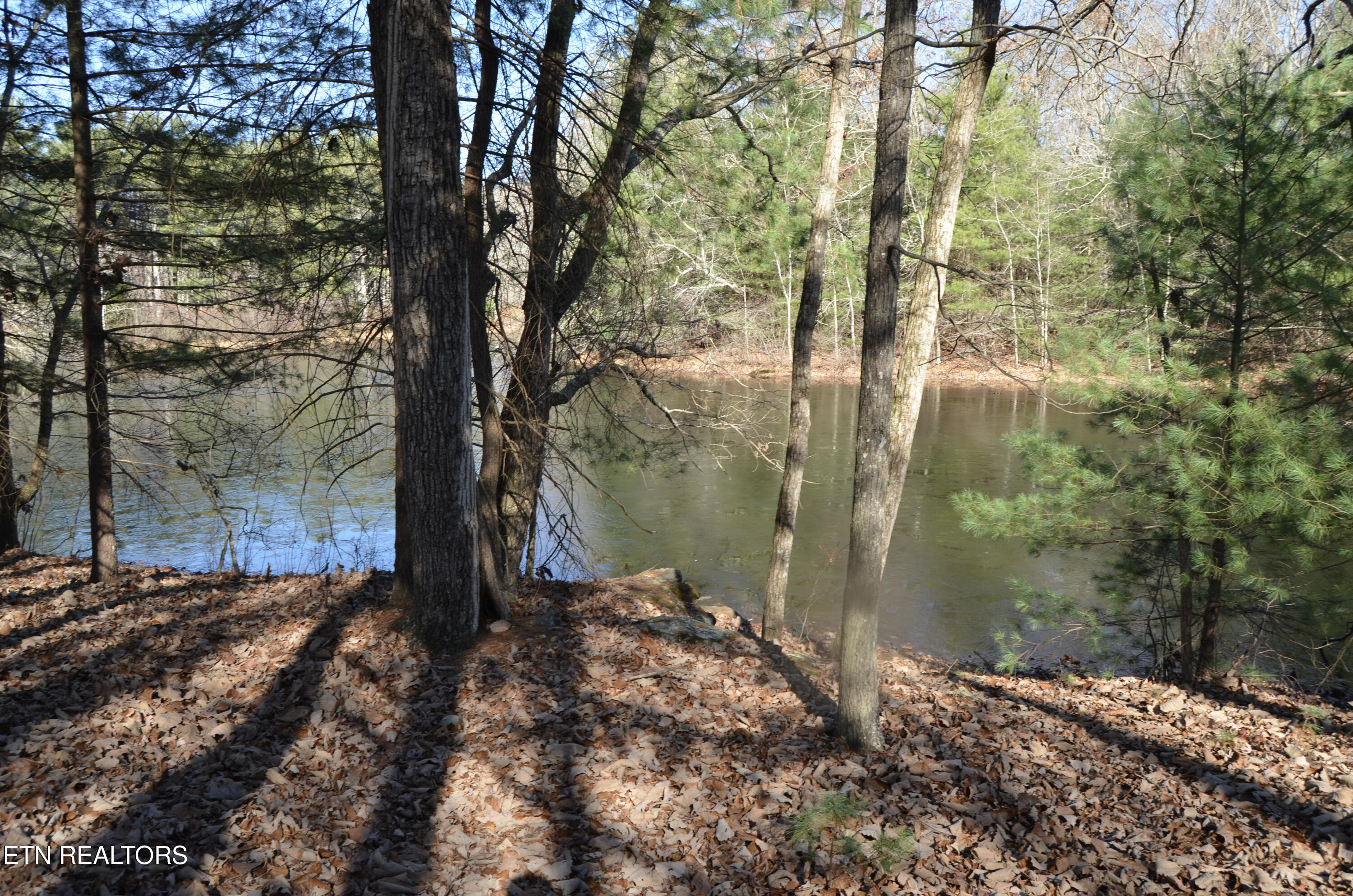 Sparta Highway 31.64 +/- Acres Crossville TN 38555
