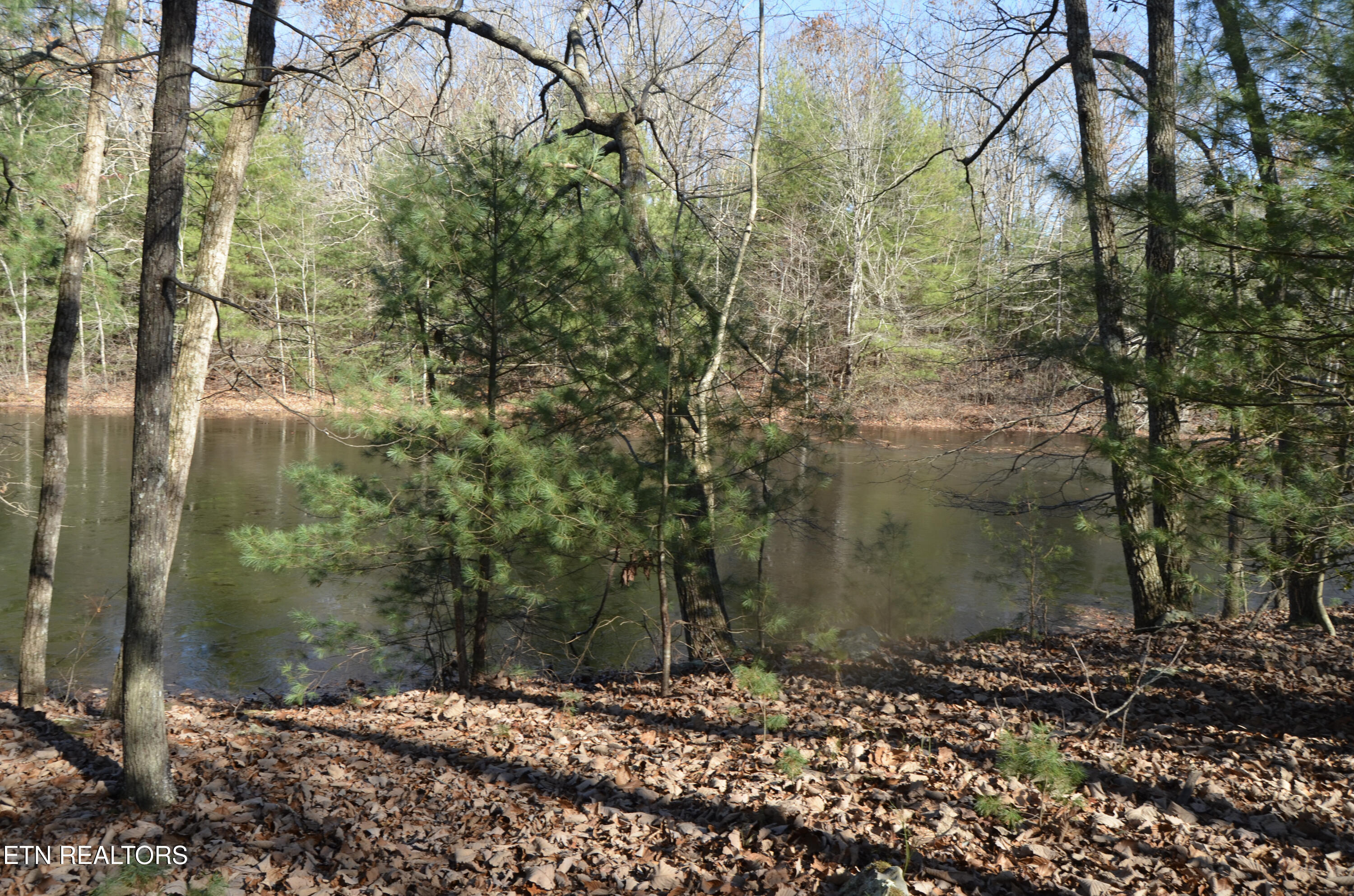 Sparta Highway 31.64 +/- Acres Crossville TN 38555