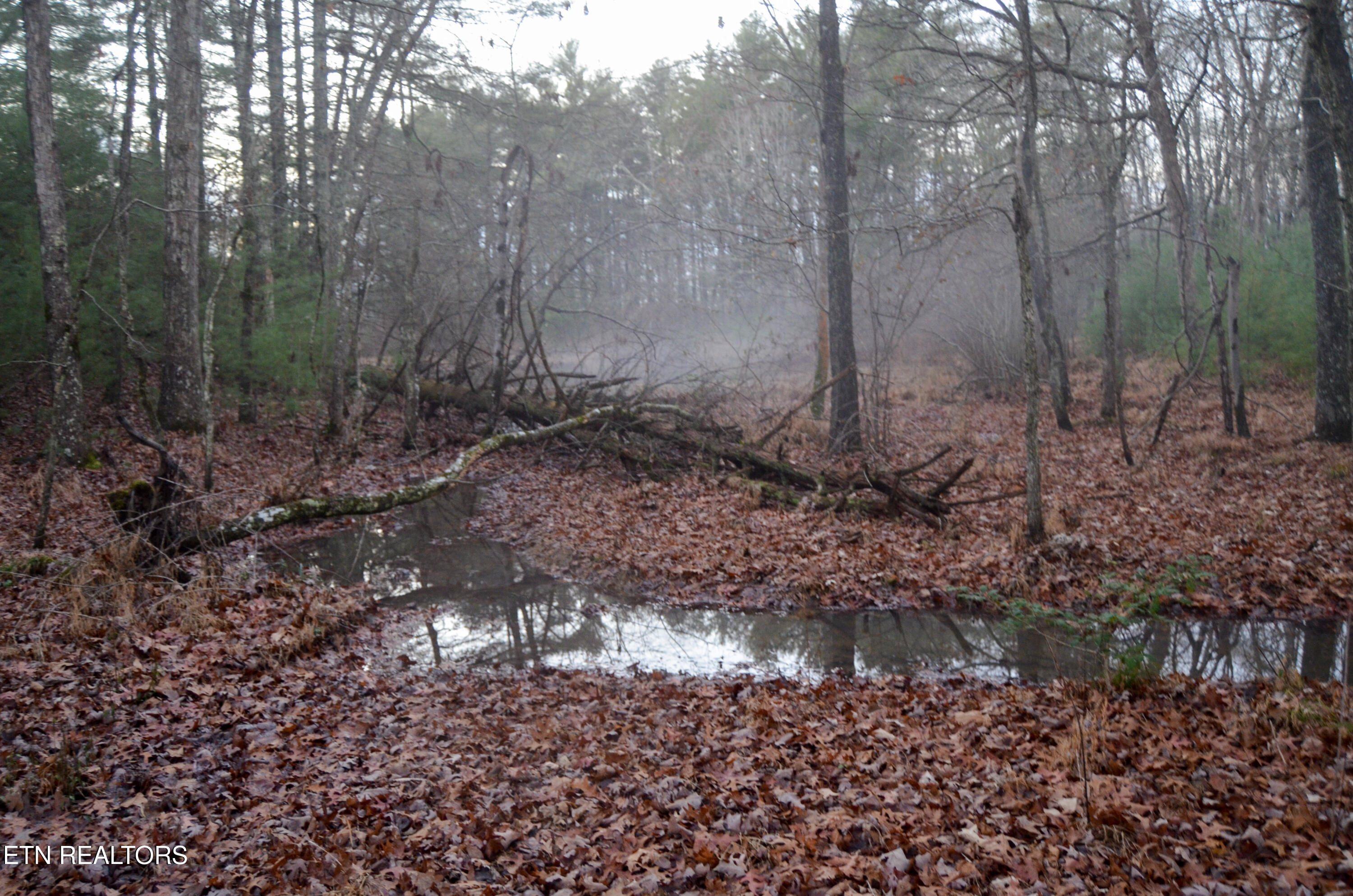 Sparta Highway 31.64 +/- Acres Crossville TN 38555
