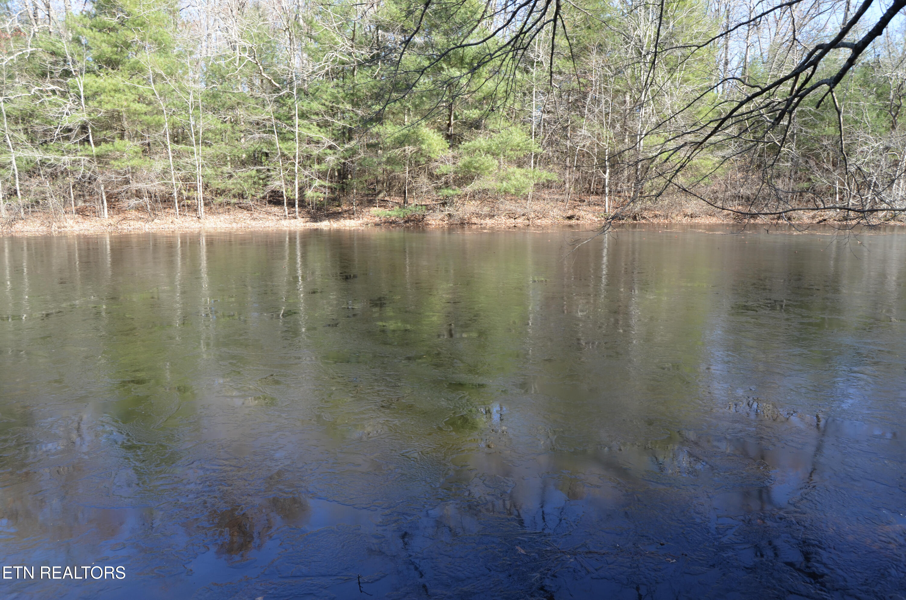 Sparta Highway 31.64 +/- Acres Crossville TN 38555