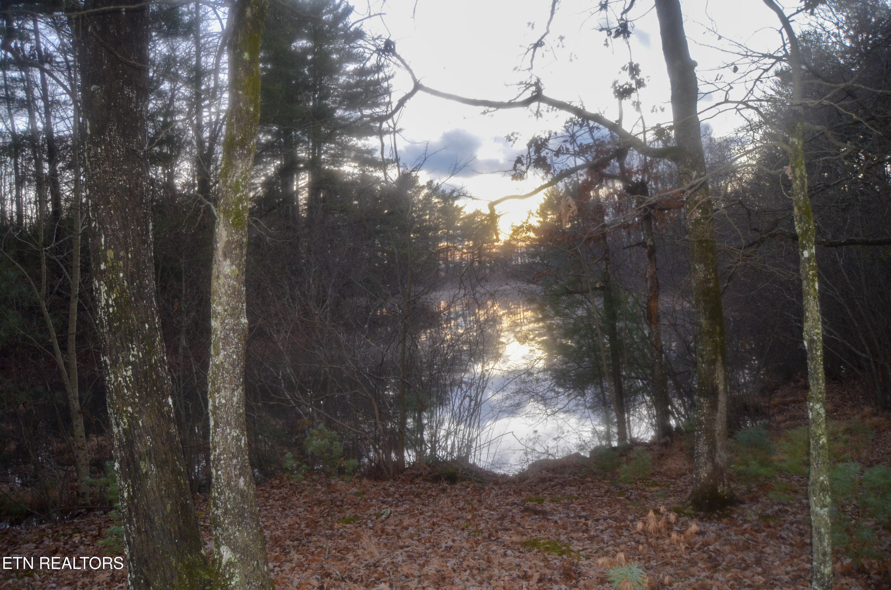 Sparta Highway 31.64 +/- Acres Crossville TN 38555