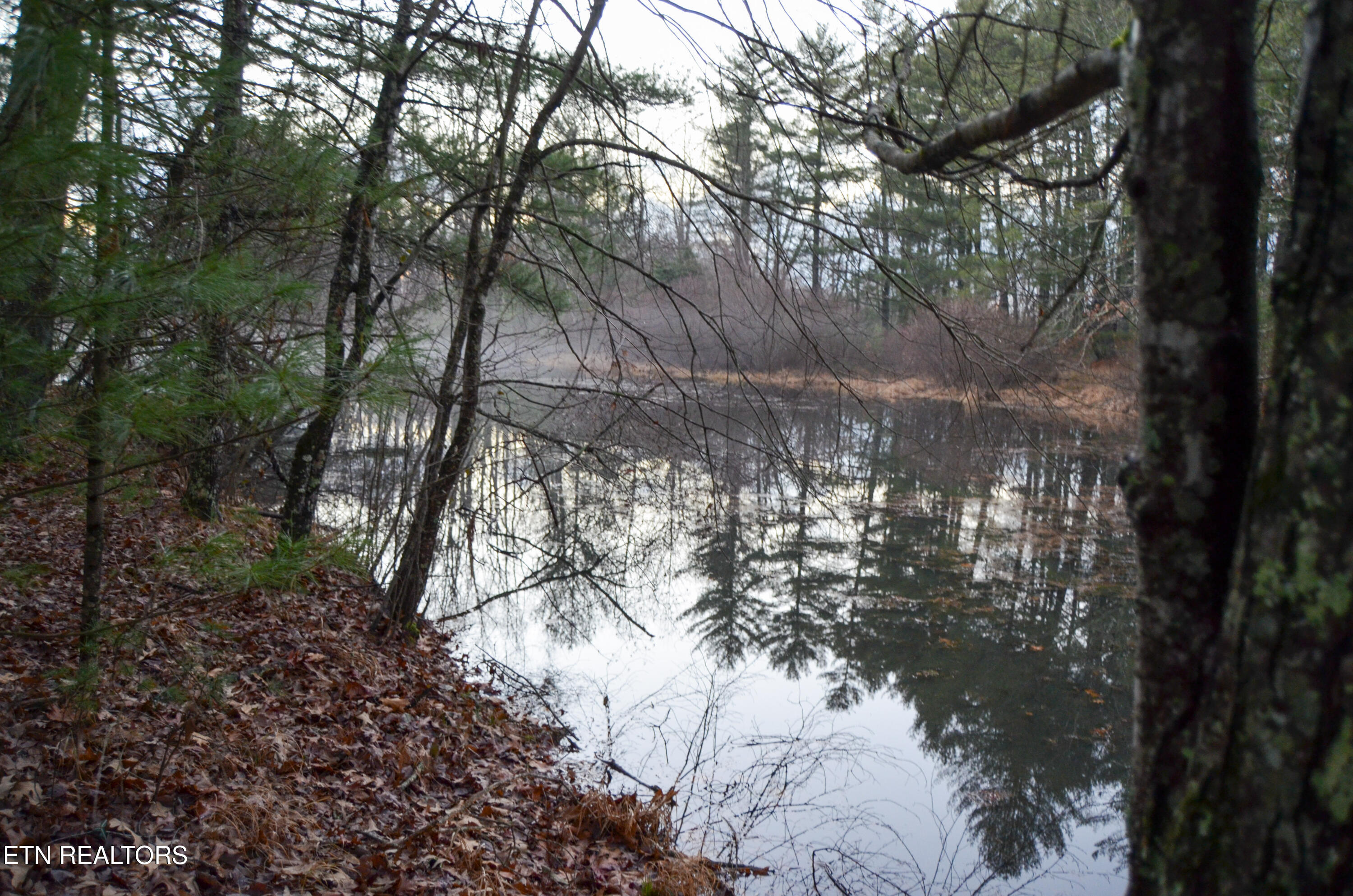 Sparta Highway 31.64 +/- Acres Crossville TN 38555