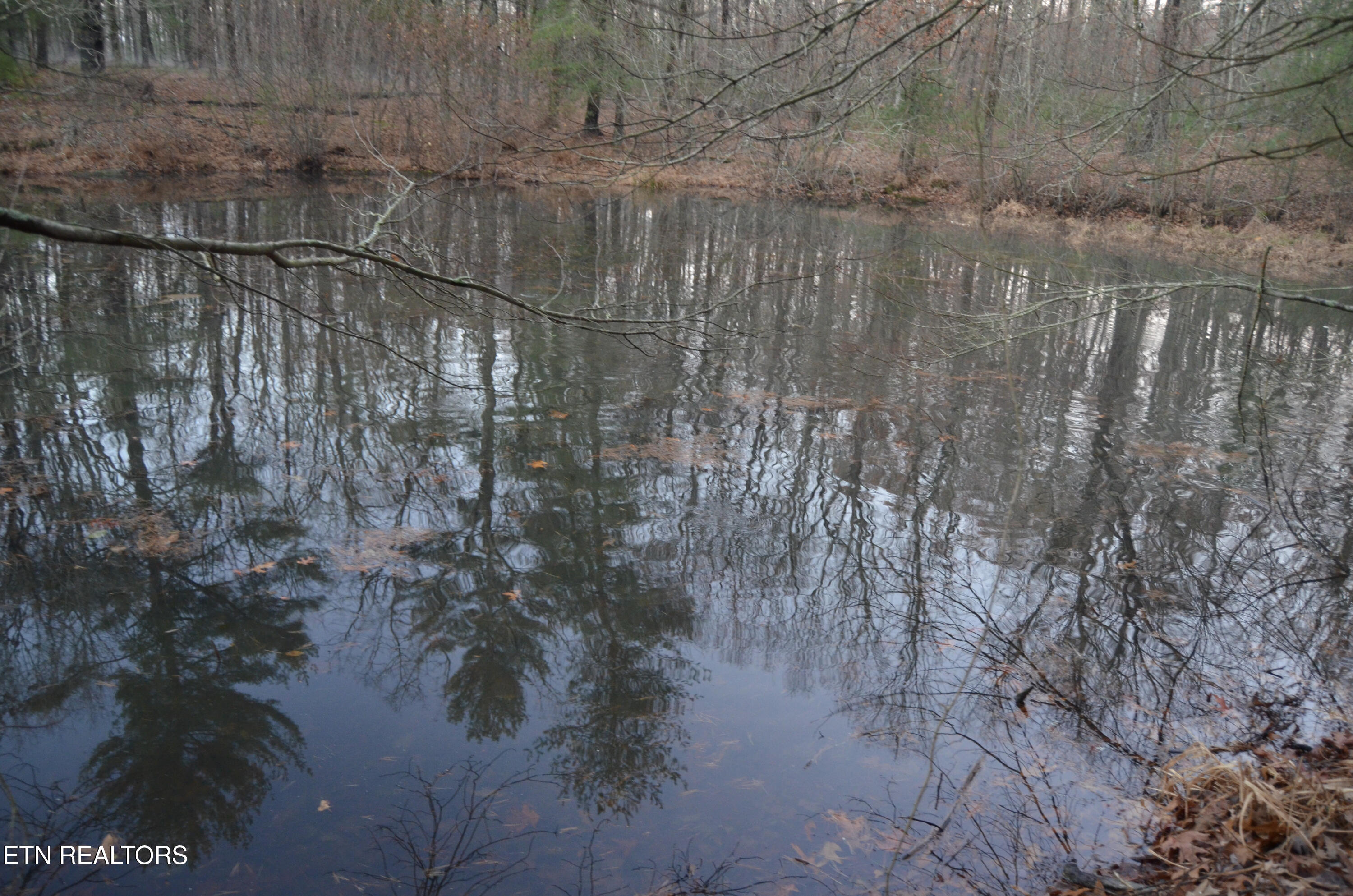 Sparta Highway 31.64 +/- Acres Crossville TN 38555