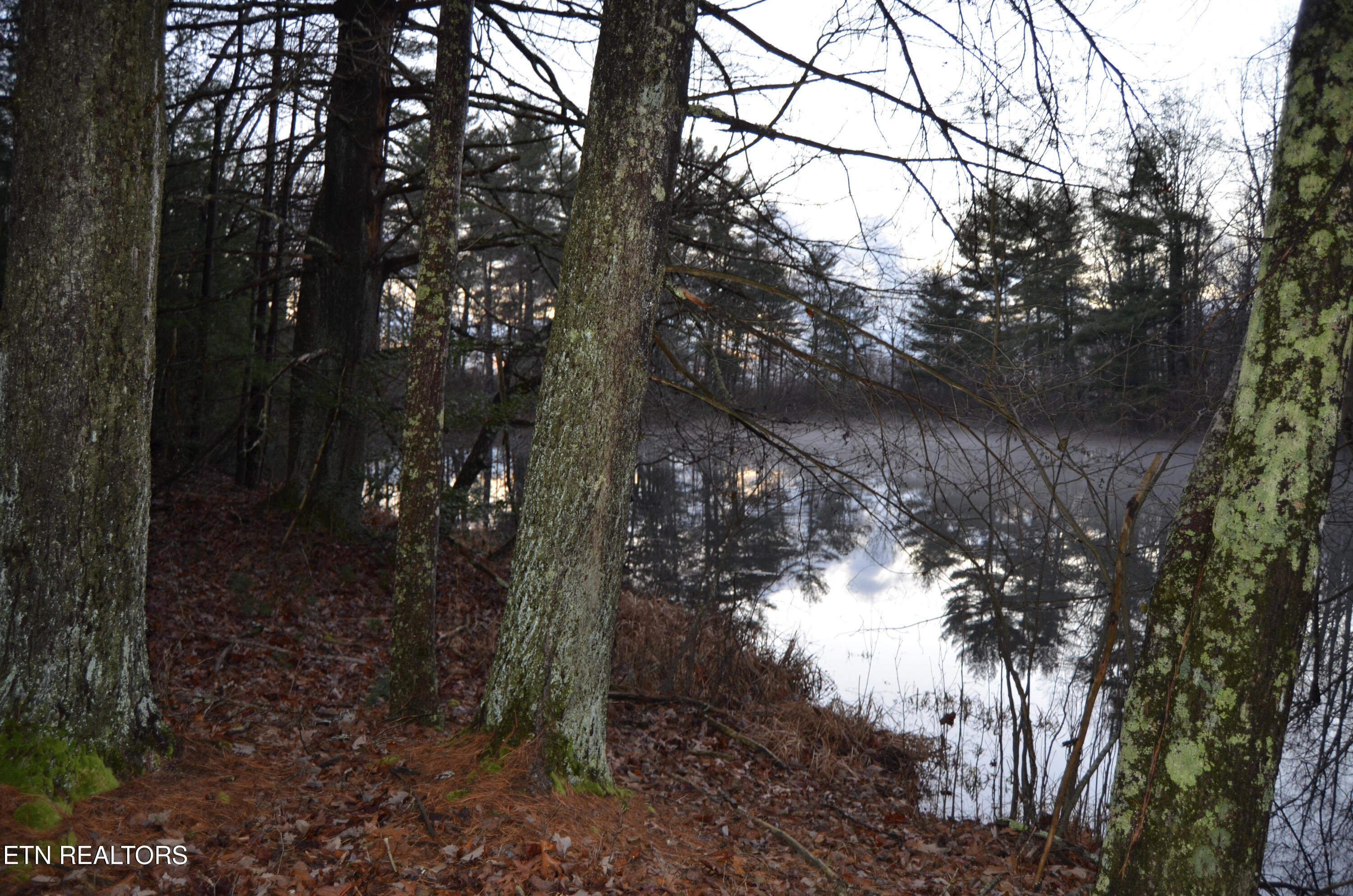 Sparta Highway 31.64 +/- Acres Crossville TN 38555