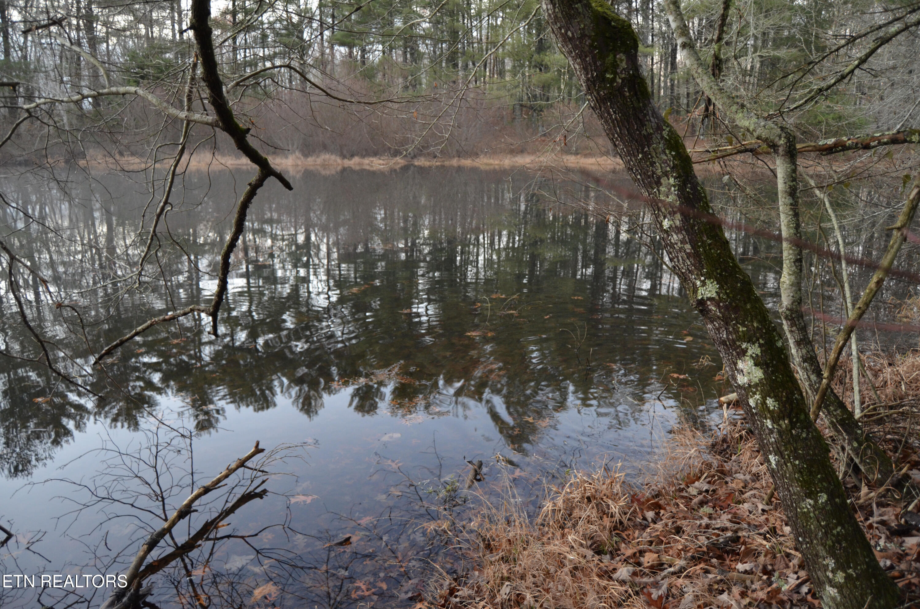 Sparta Highway 31.64 +/- Acres Crossville TN 38555