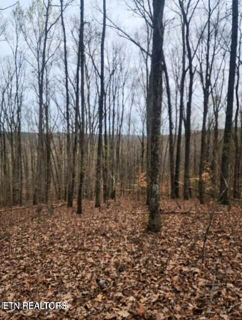 Upper Concord Road Ten Mile TN 37880