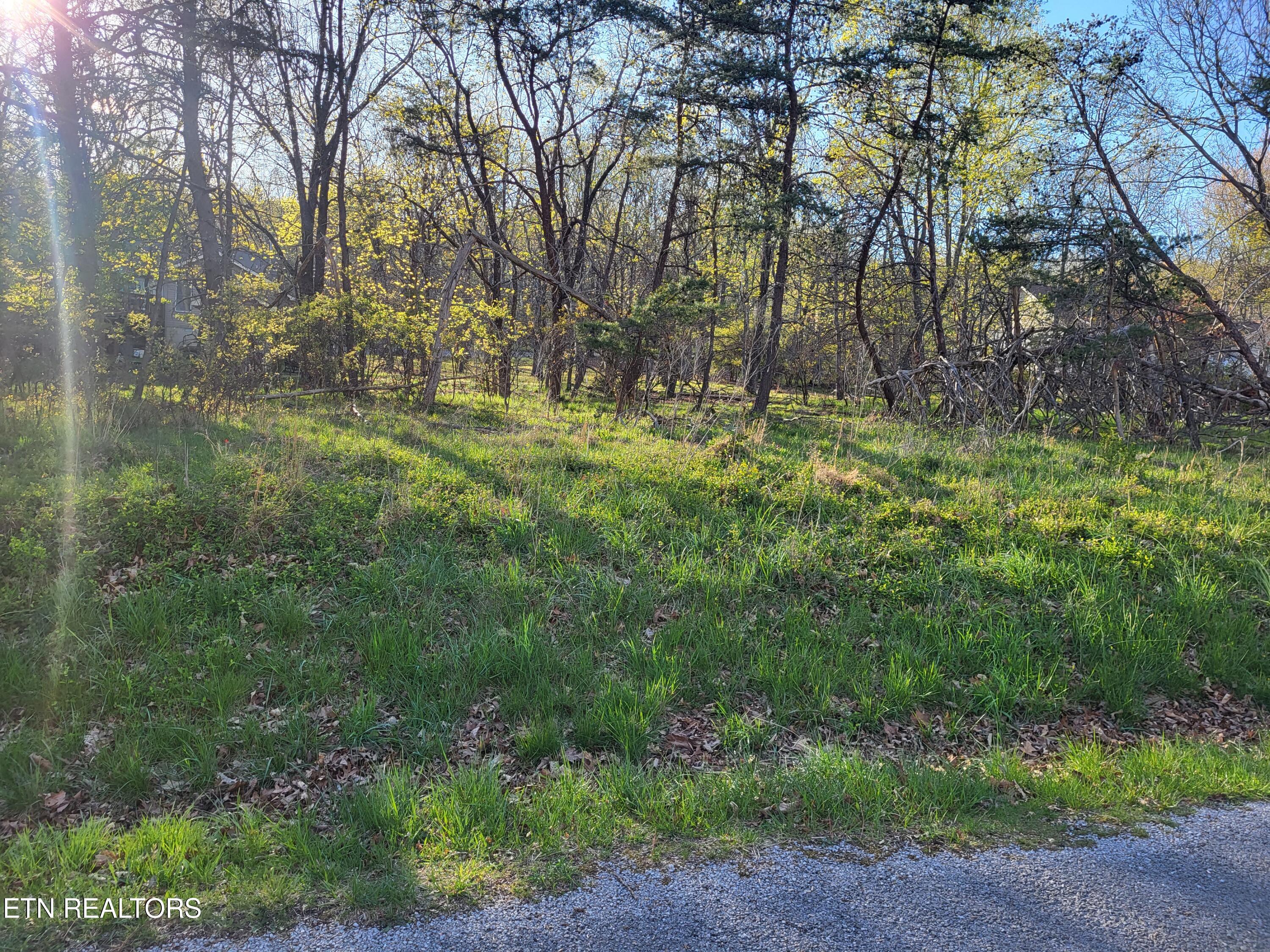 140 Greenbrier Loop Crossville TN 38558