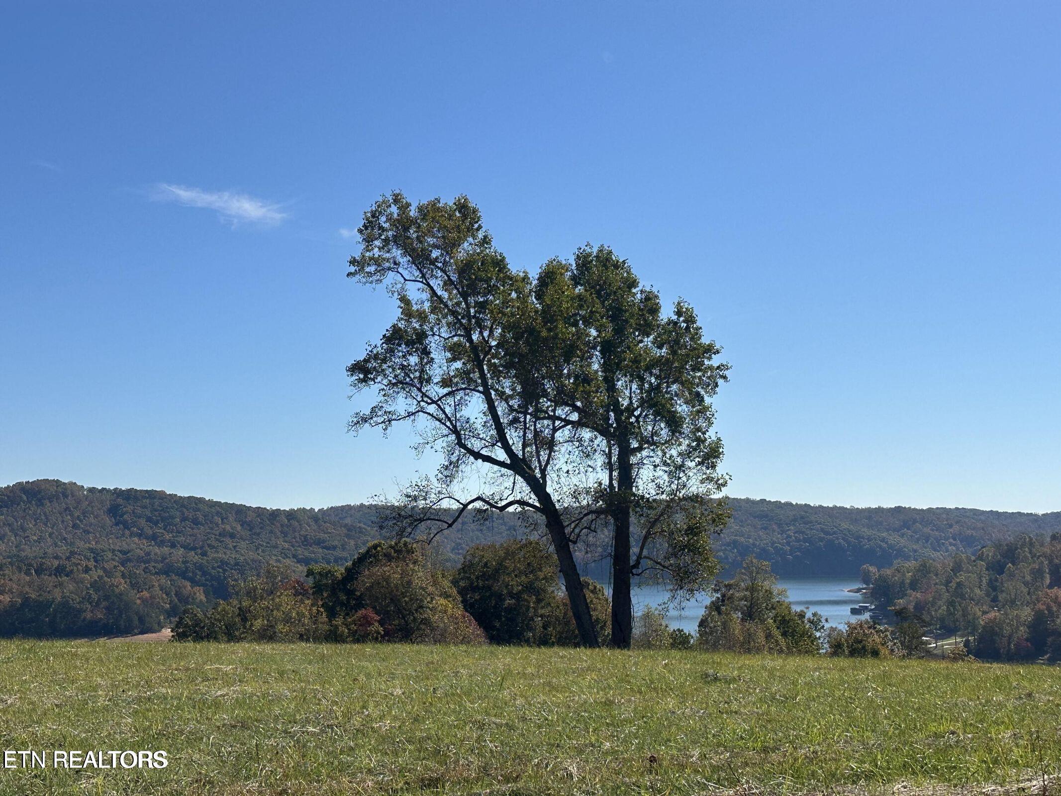 Lot 41 Deer Trail Lafollette TN 37766