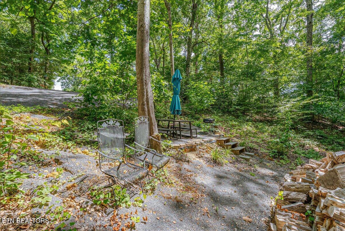 1901 Bootbluff Trail Dandridge TN 37725