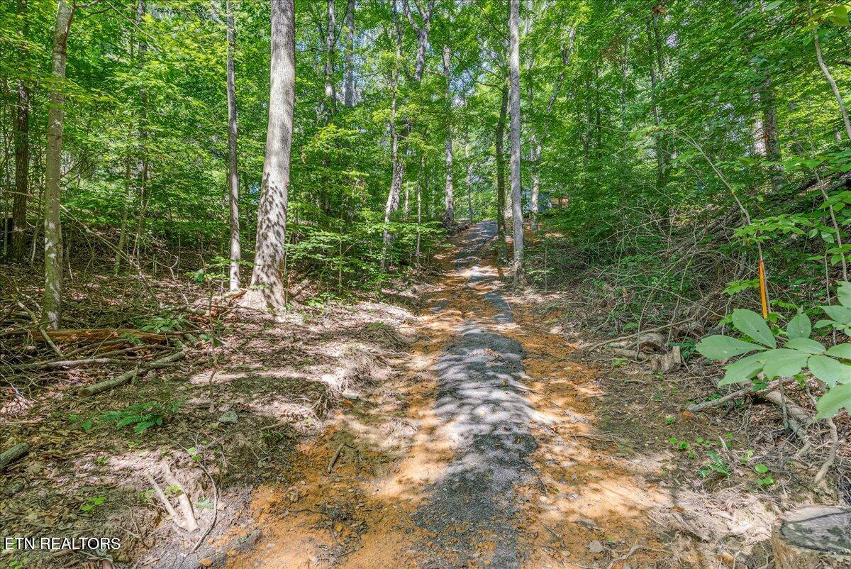 1901 Bootbluff Trail Dandridge TN 37725