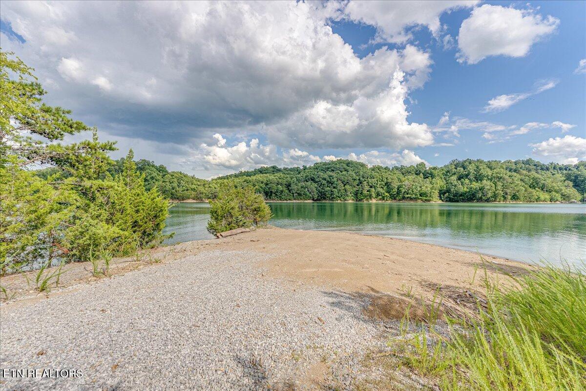 1901 Bootbluff Trail Dandridge TN 37725