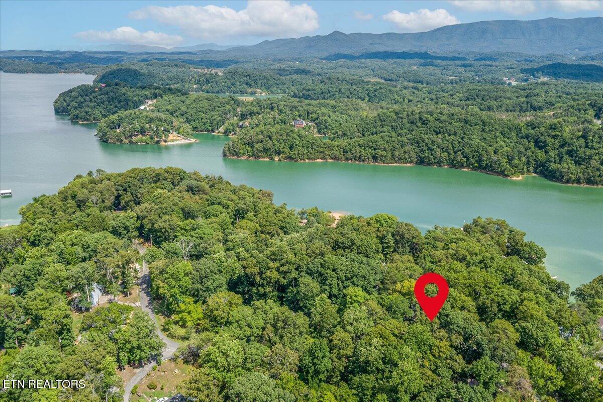 1901 Bootbluff Trail Dandridge TN 37725