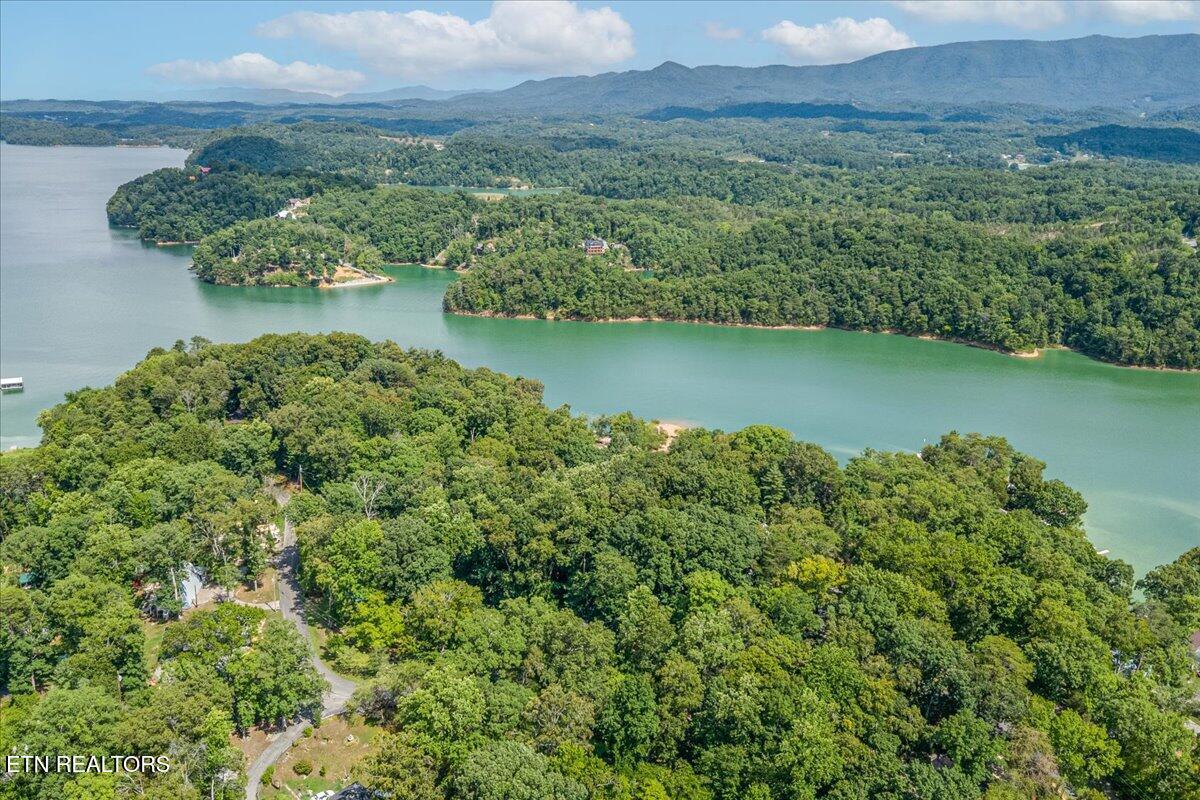 1901 Bootbluff Trail Dandridge TN 37725