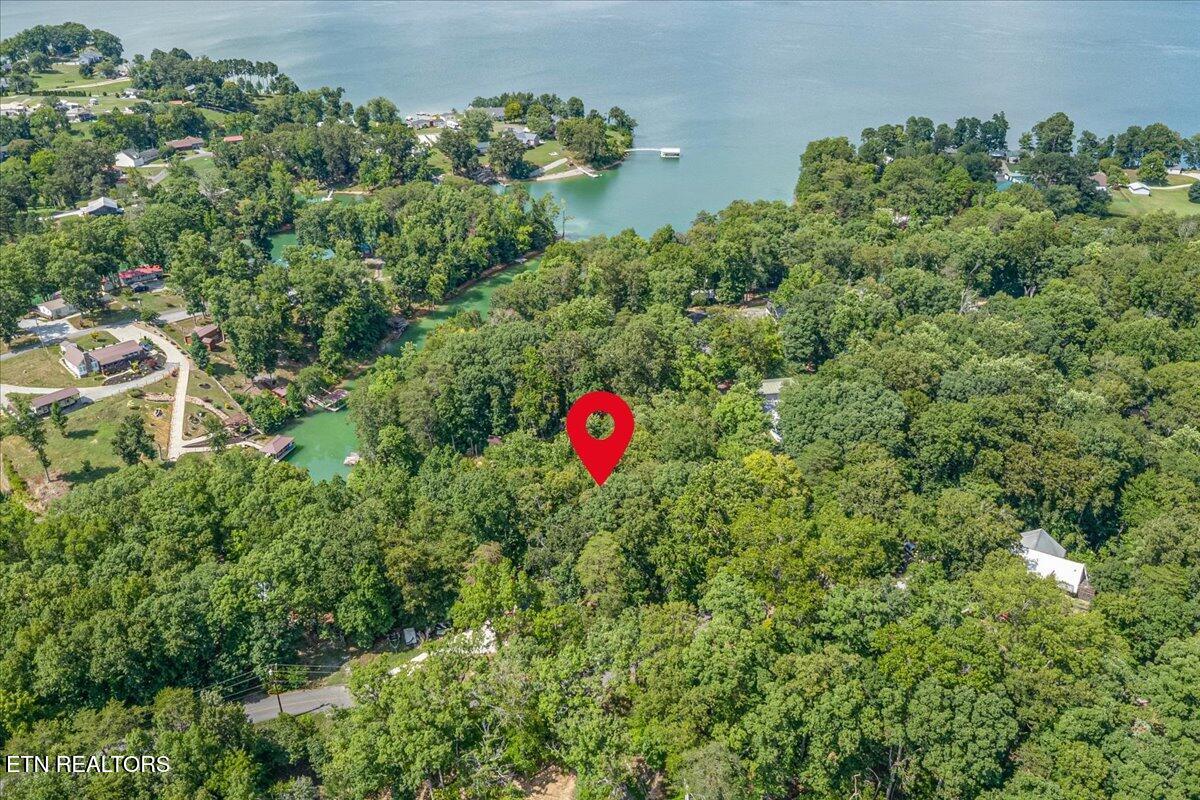 1901 Bootbluff Trail Dandridge TN 37725
