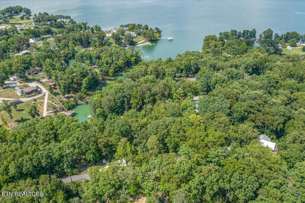 1901 Bootbluff Trail Dandridge TN 37725