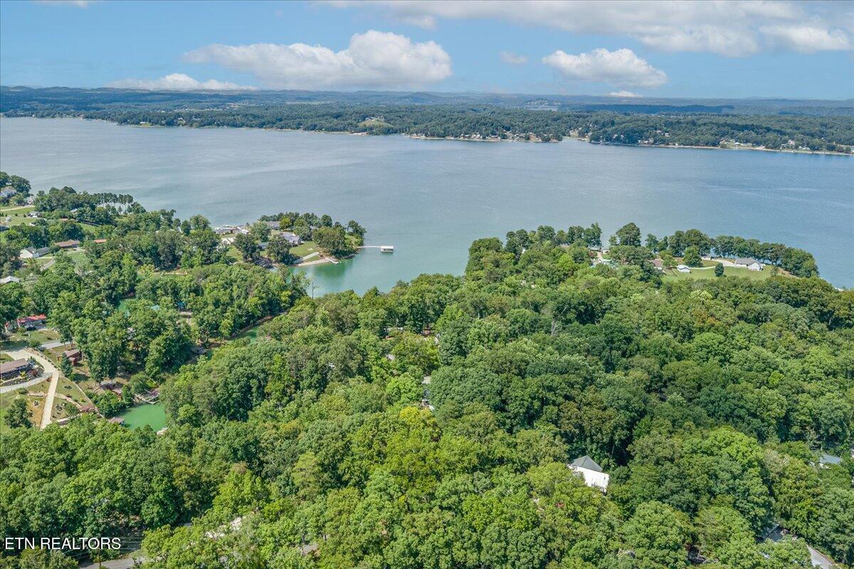 1901 Bootbluff Trail Dandridge TN 37725