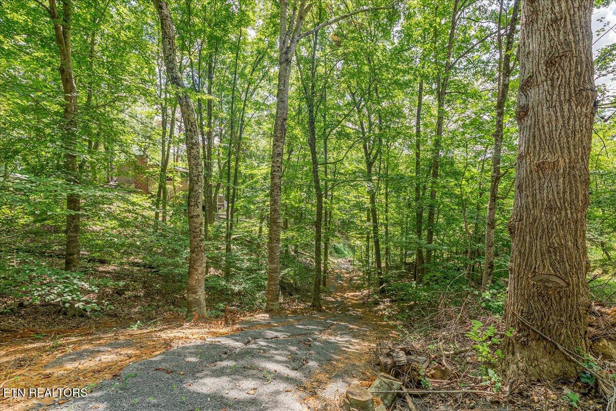 1901 Bootbluff Trail Dandridge TN 37725