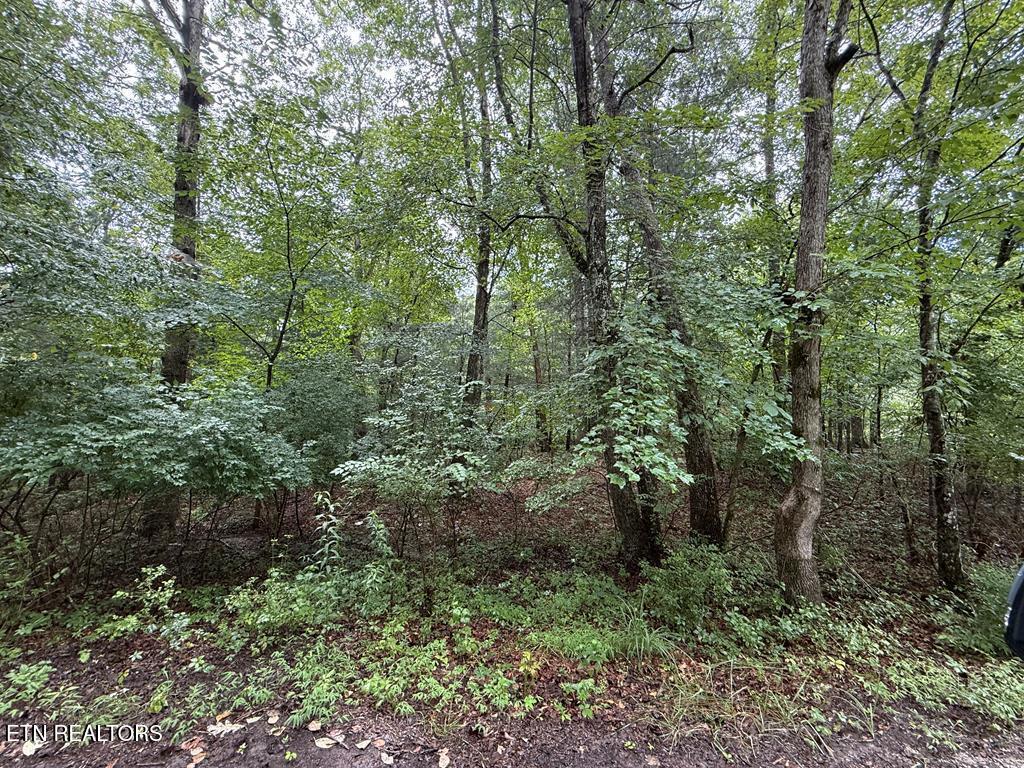 3040 Oklahoma Drive Crossville TN 38572