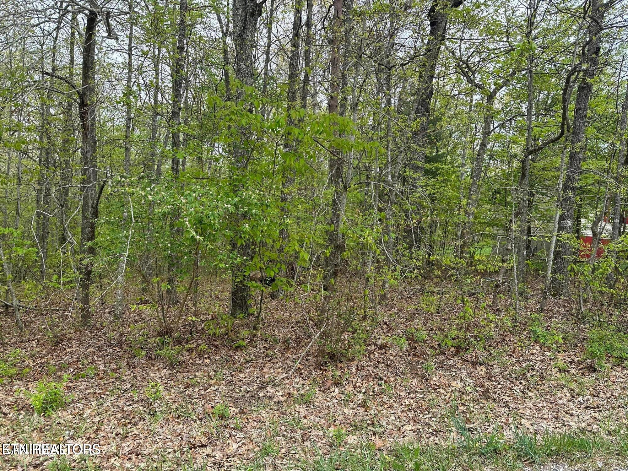 1228&1230 Natchez Trace Crossville TN 38572