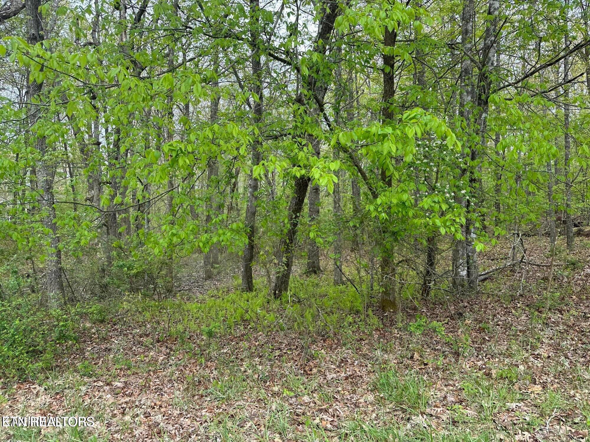 1228&1230 Natchez Trace Crossville TN 38572
